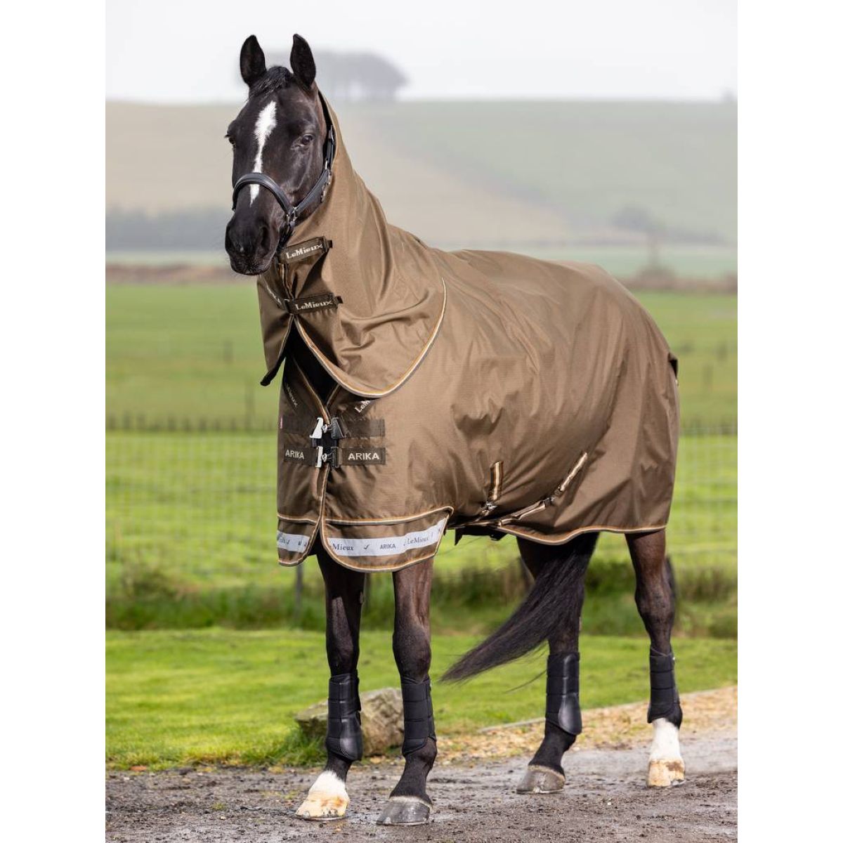 LeMieux Manta de exterior Arika 600D 50g Alpine
