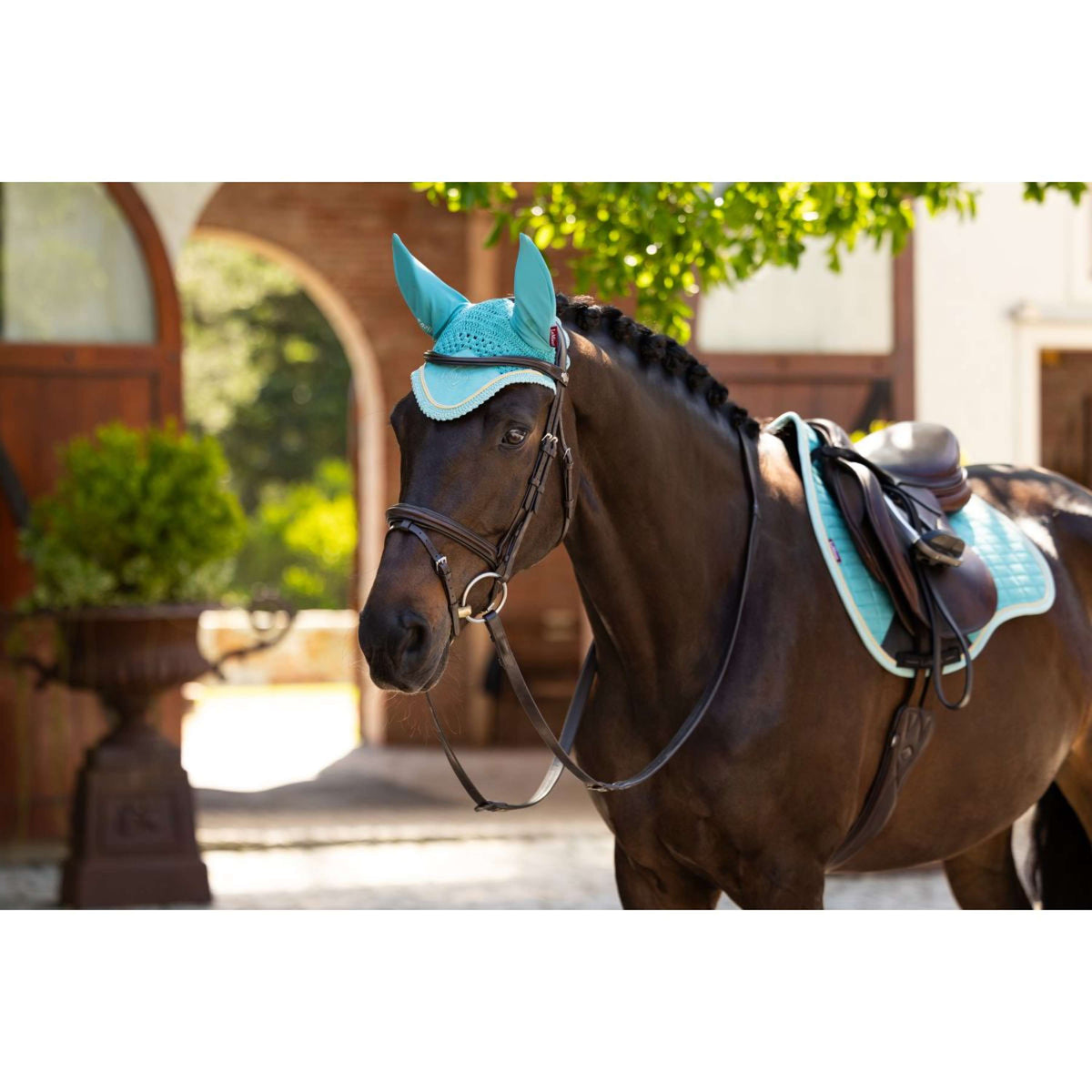 LeMieux Bonete para Orejas Classic Lagoon