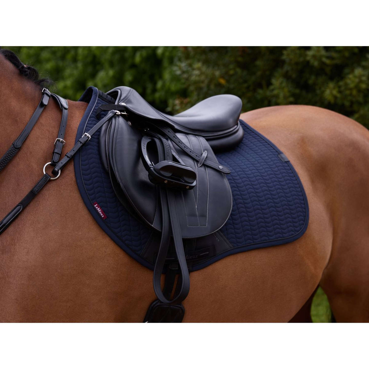 LeMieux Mantilla Finesse Springen Navy