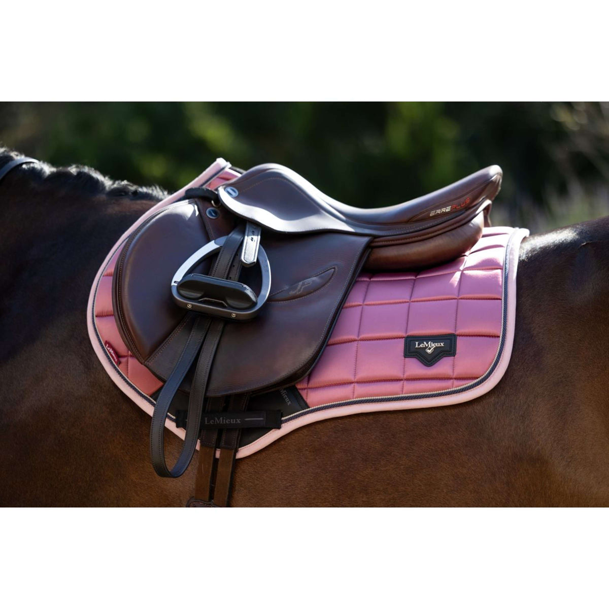 LeMieux Mantilla Loire Classic Springen Peony