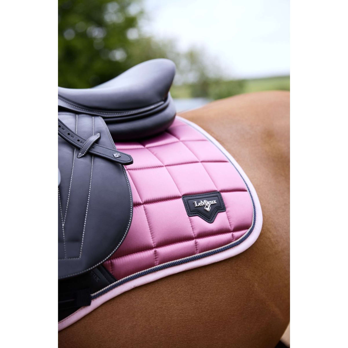 LeMieux Mantilla Loire Classic Springen Peony