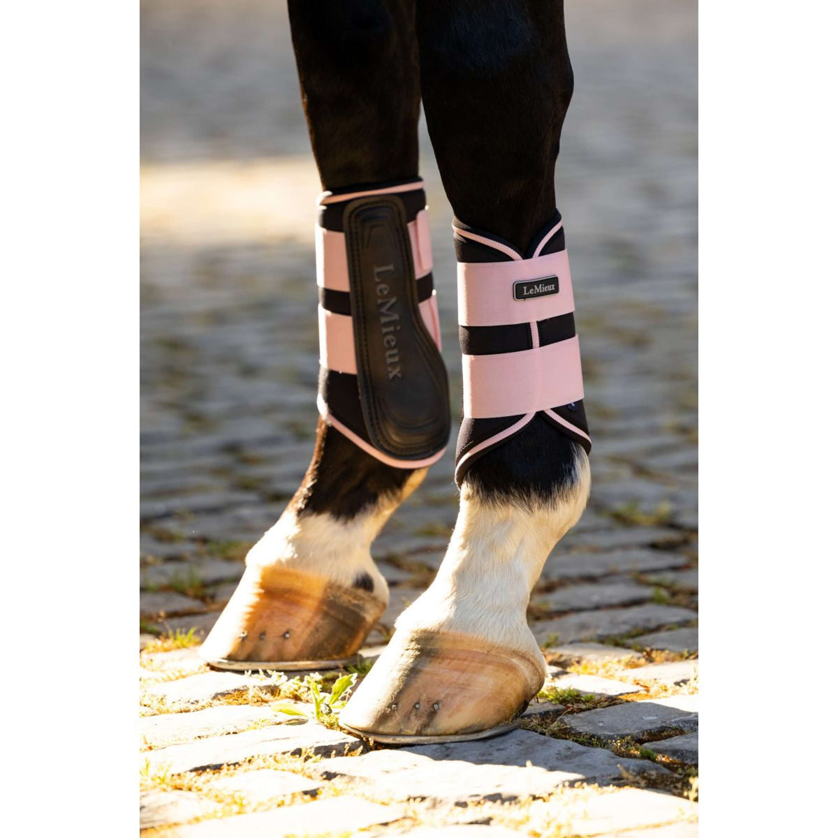 LeMieux Protectores de piernas Grafter Brushing Blossom