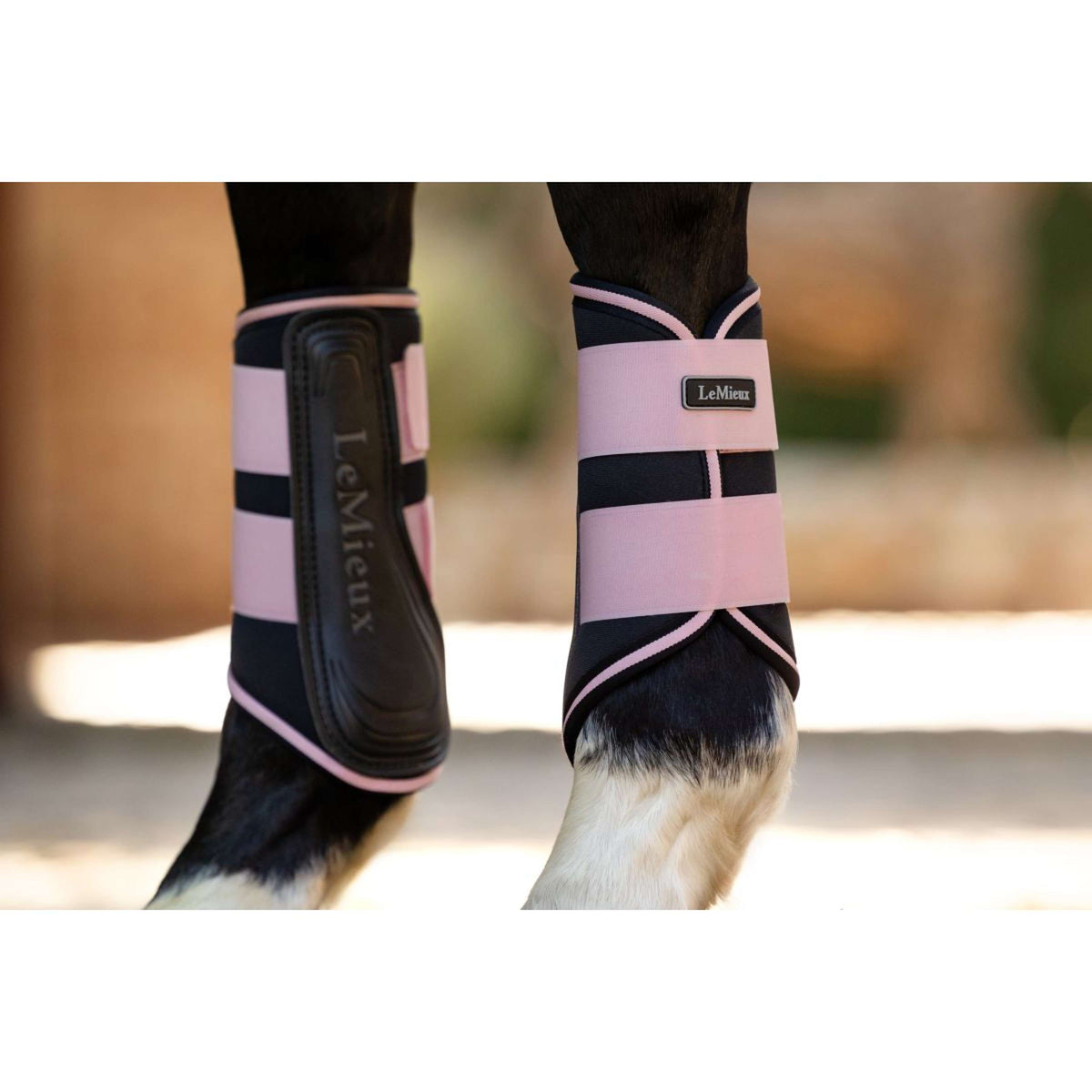 LeMieux Protectores de piernas Grafter Brushing Blossom