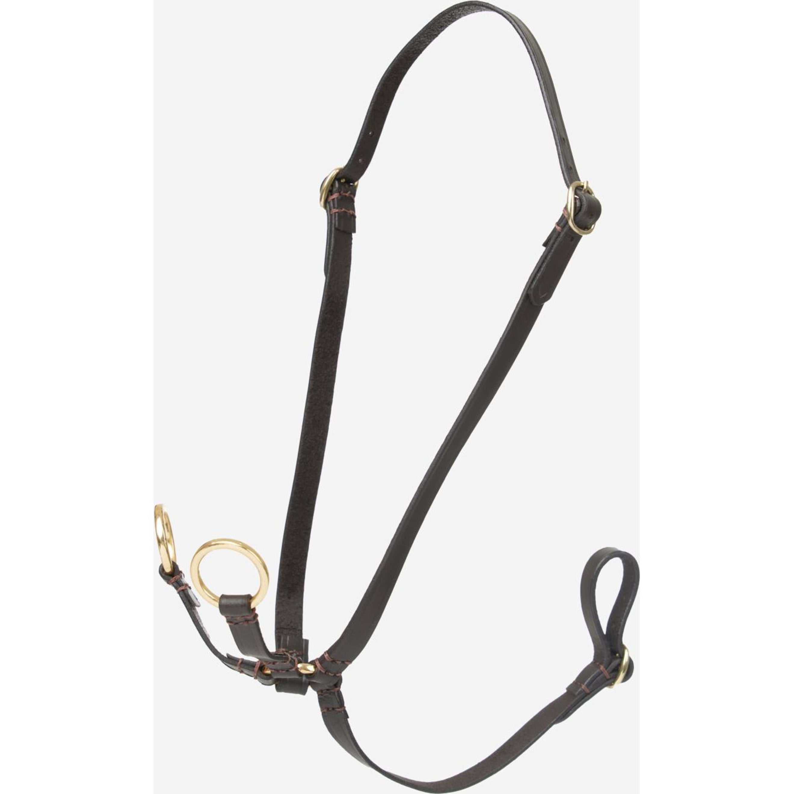 LeMieux Hobby Horse Martingala Running Marron