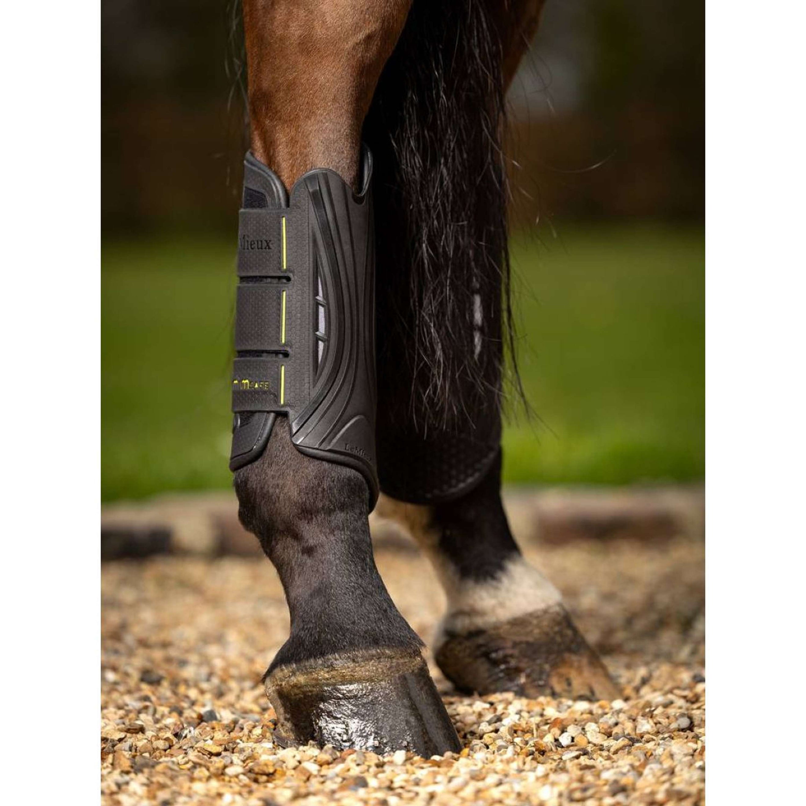 LeMieux Protectores para Patas MIMsafe XC Traseros Negro