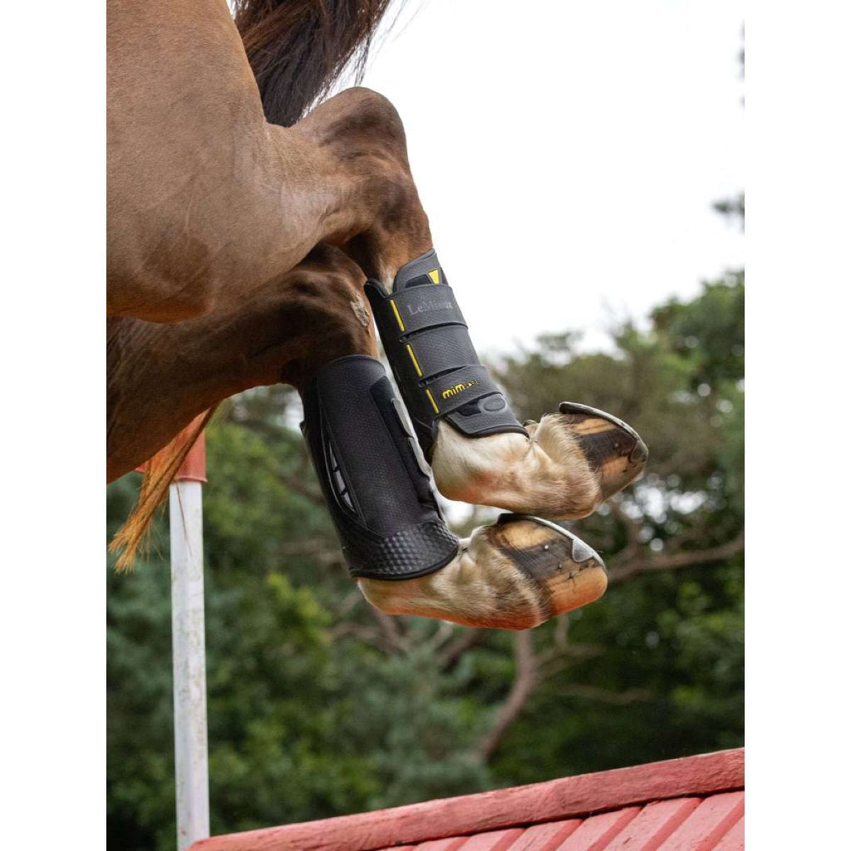 LeMieux Protectores para Patas MIMsafe XC Traseros Negro