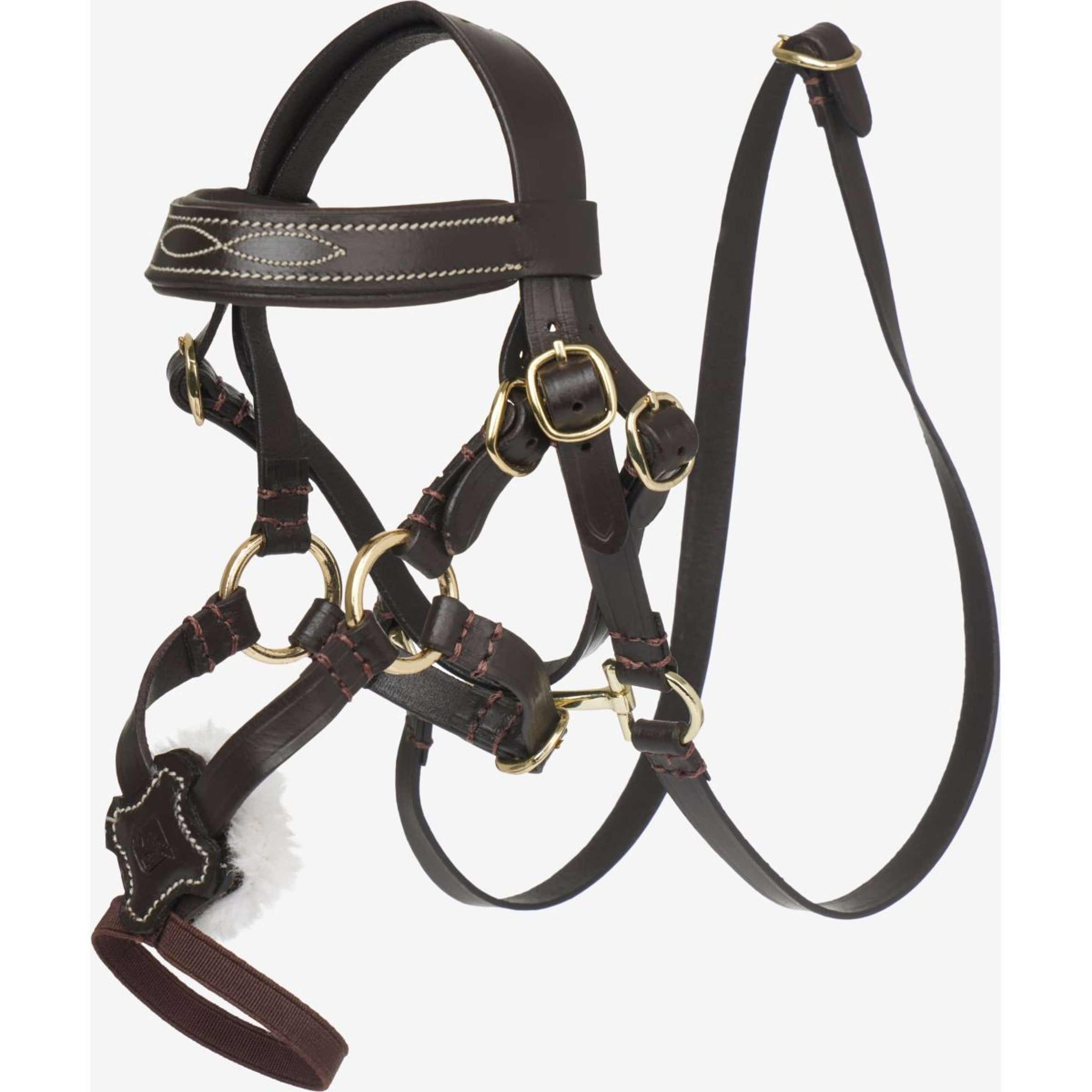 LeMieux Brida Toy Pony Mexican Marron