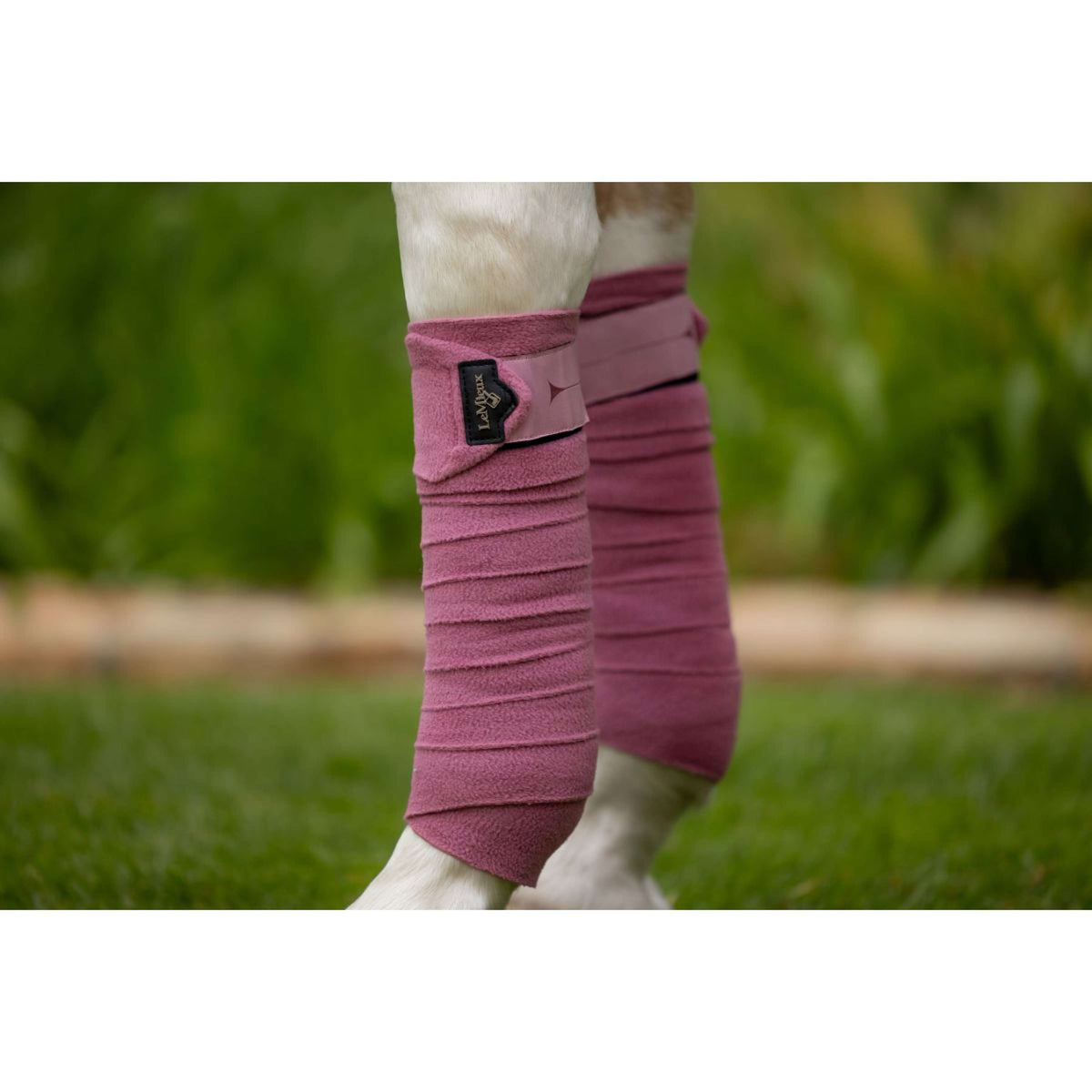 LeMieux Vendajes Polo Peony