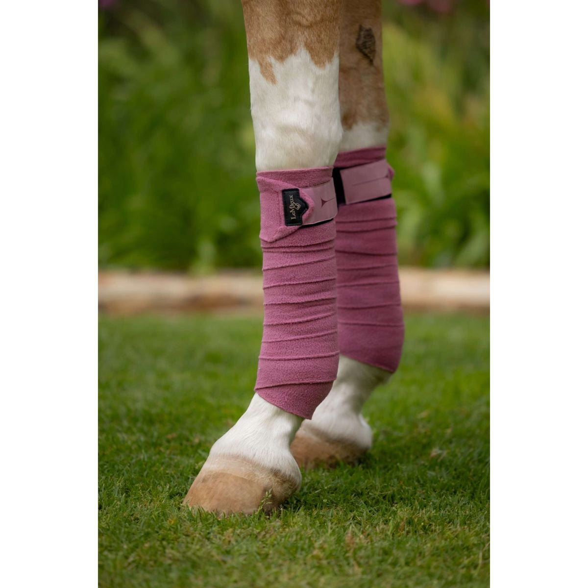 LeMieux Vendajes Polo Peony