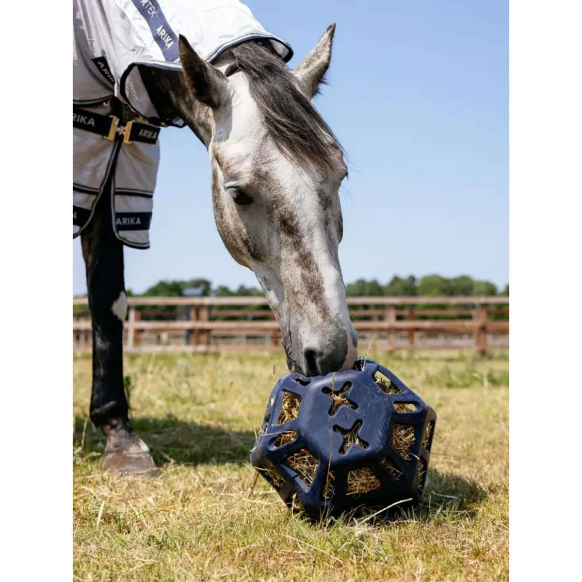 LeMieux Pelota de Juego Hay Navy