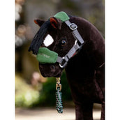 LeMieux Juego de Cabestro Toy Pony Vogue Hunter Green
