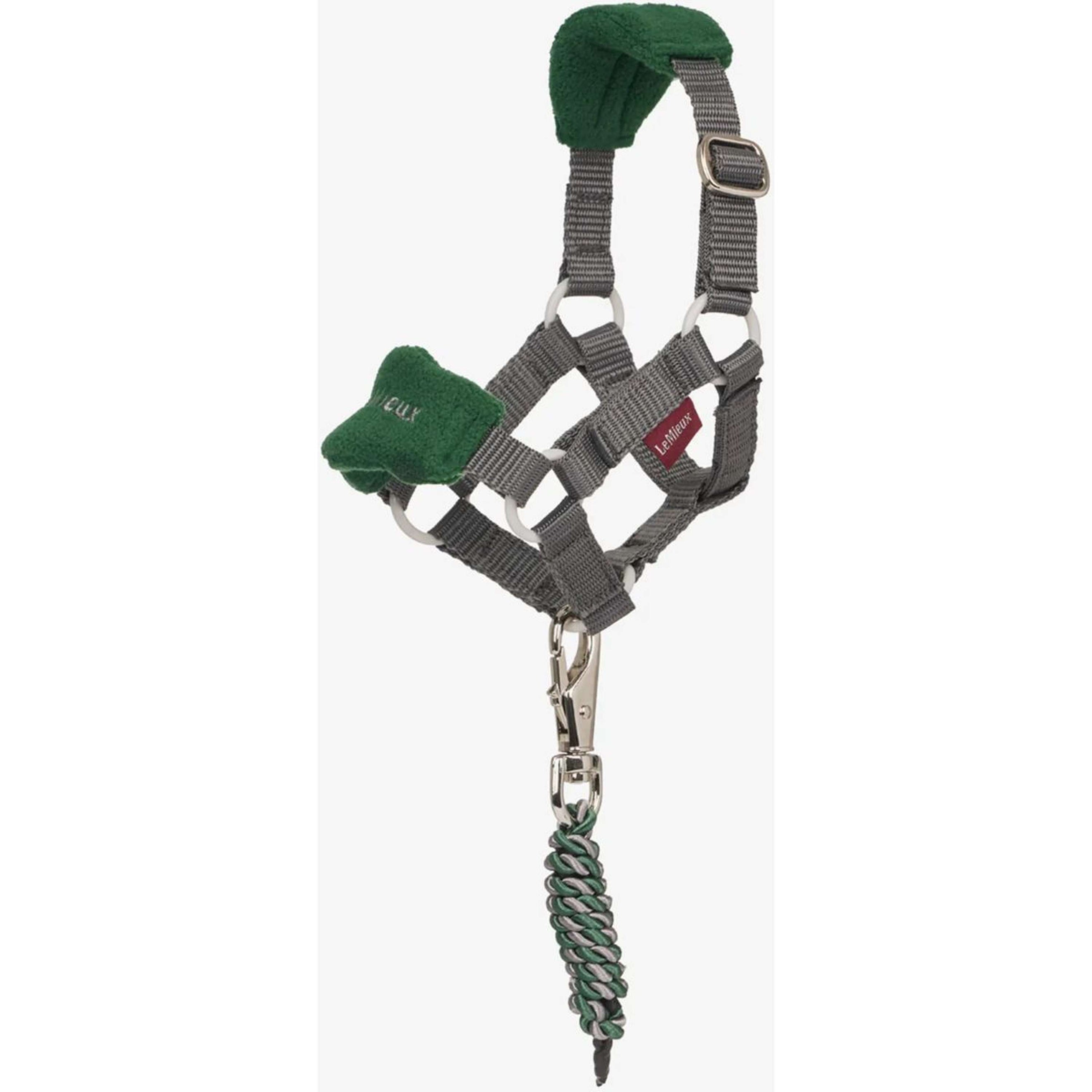 LeMieux Juego de Cabestro Toy Pony Vogue Hunter Green