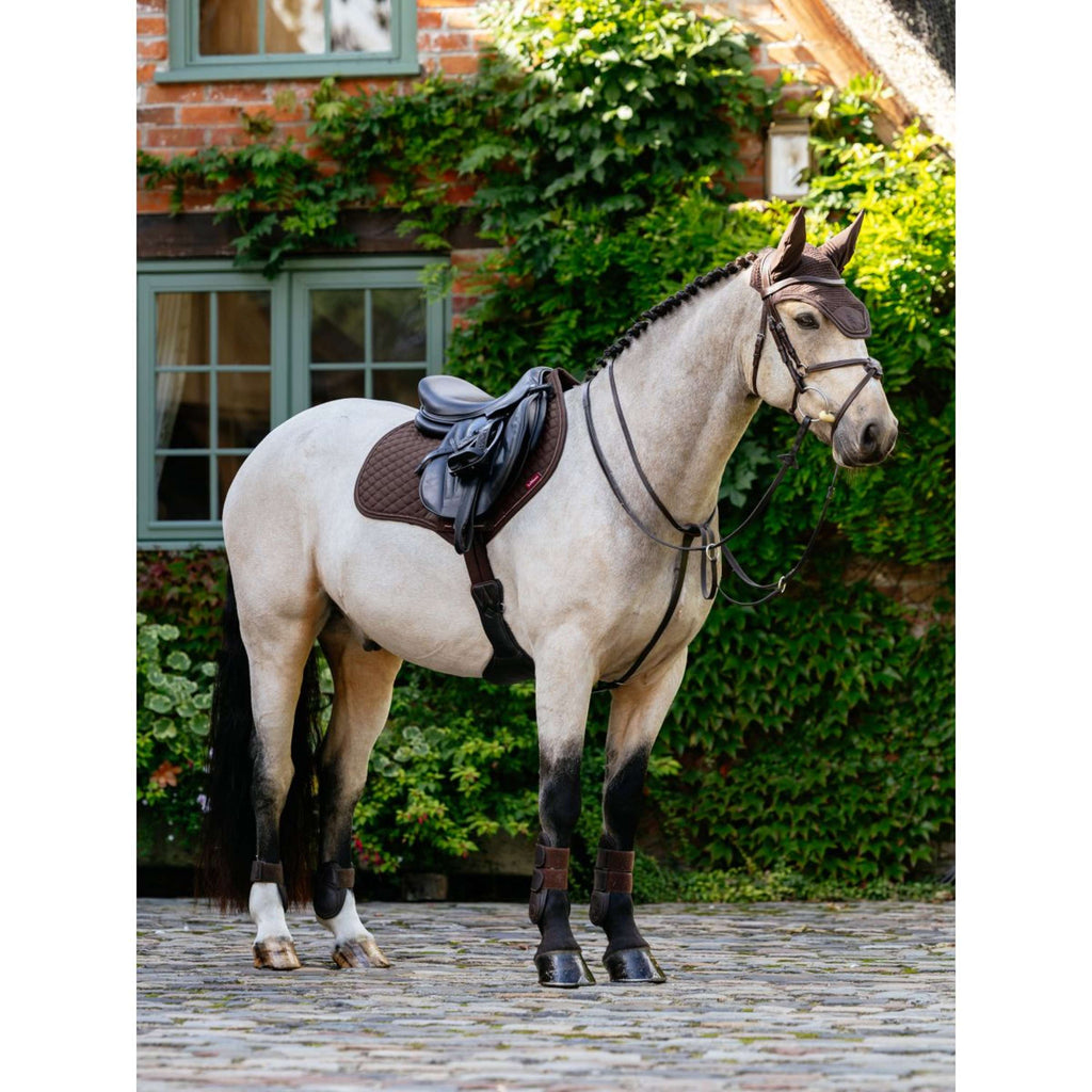 LeMieux Mantilla Brilliance Close Contact Square saltando Espresso