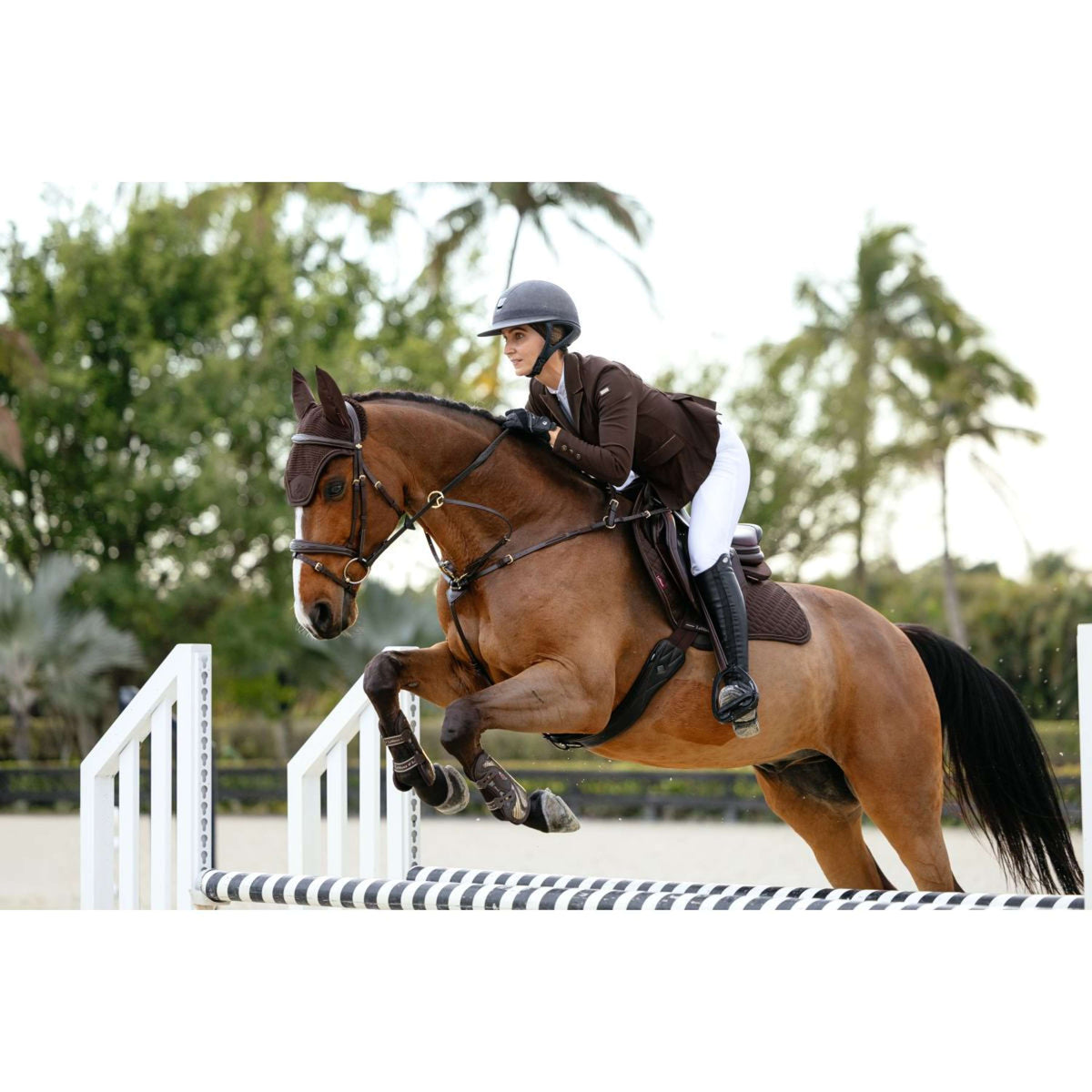 LeMieux Mantilla Brilliance Close Contact Square saltando Espresso