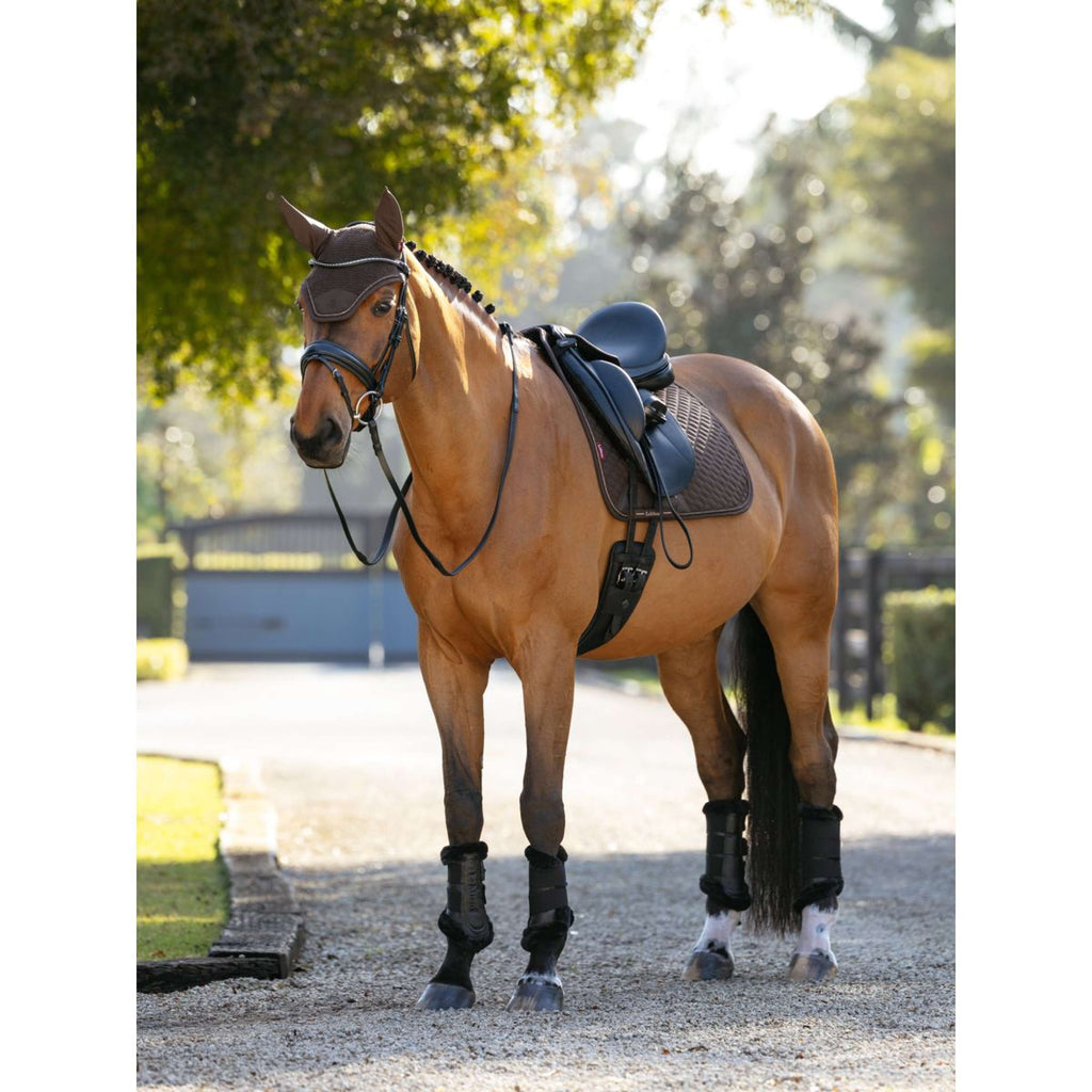 LeMieux Mantilla Brilliance Doma clásica Espresso