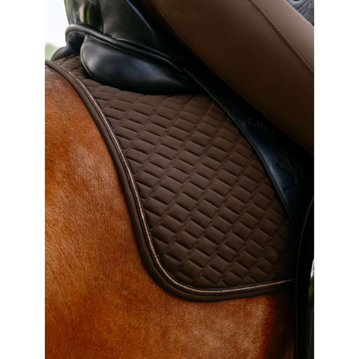 LeMieux Mantilla Brilliance Doma clásica Espresso