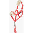 Coral Crush
