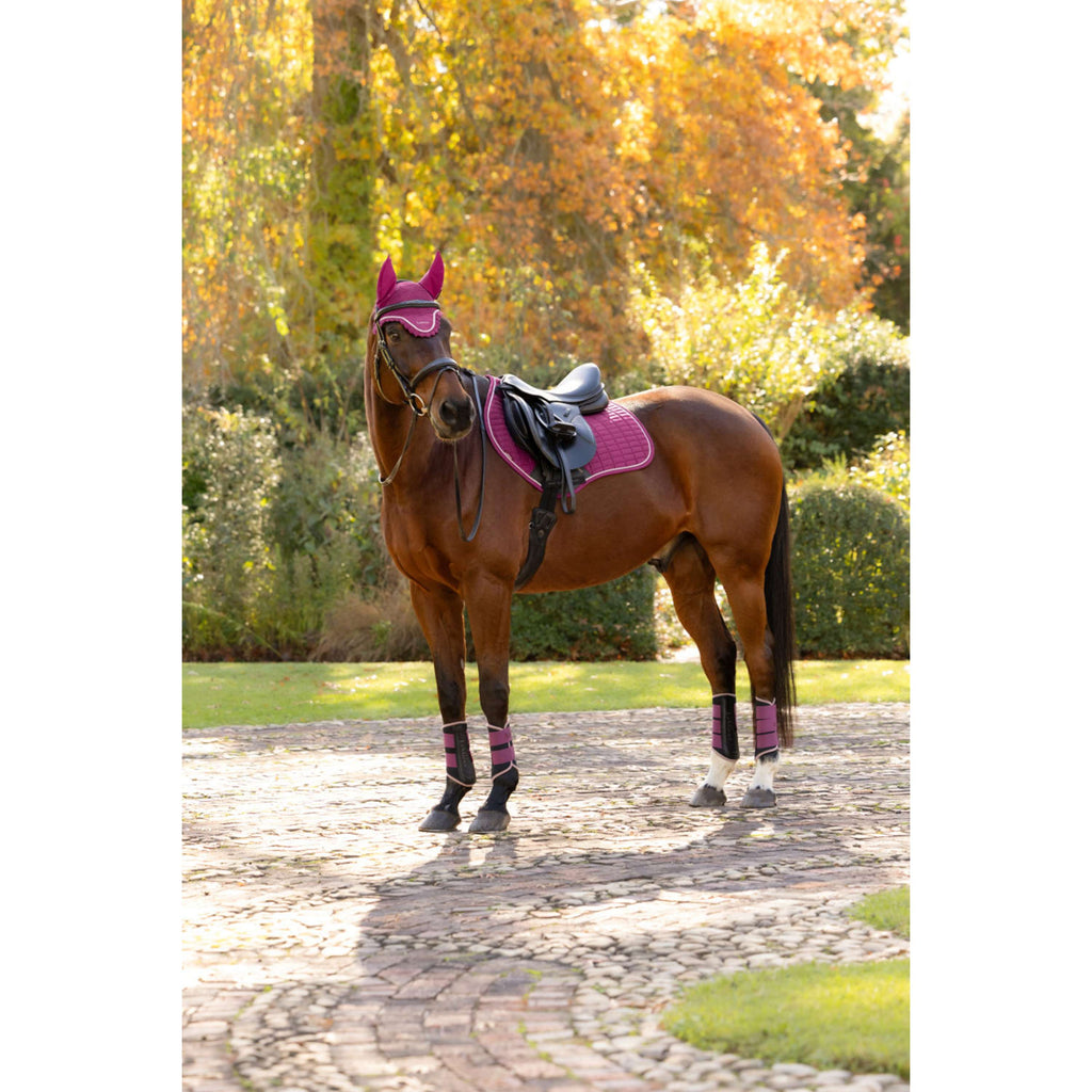 LeMieux Mantilla Suede Close Contact Square Saltando Blackberry