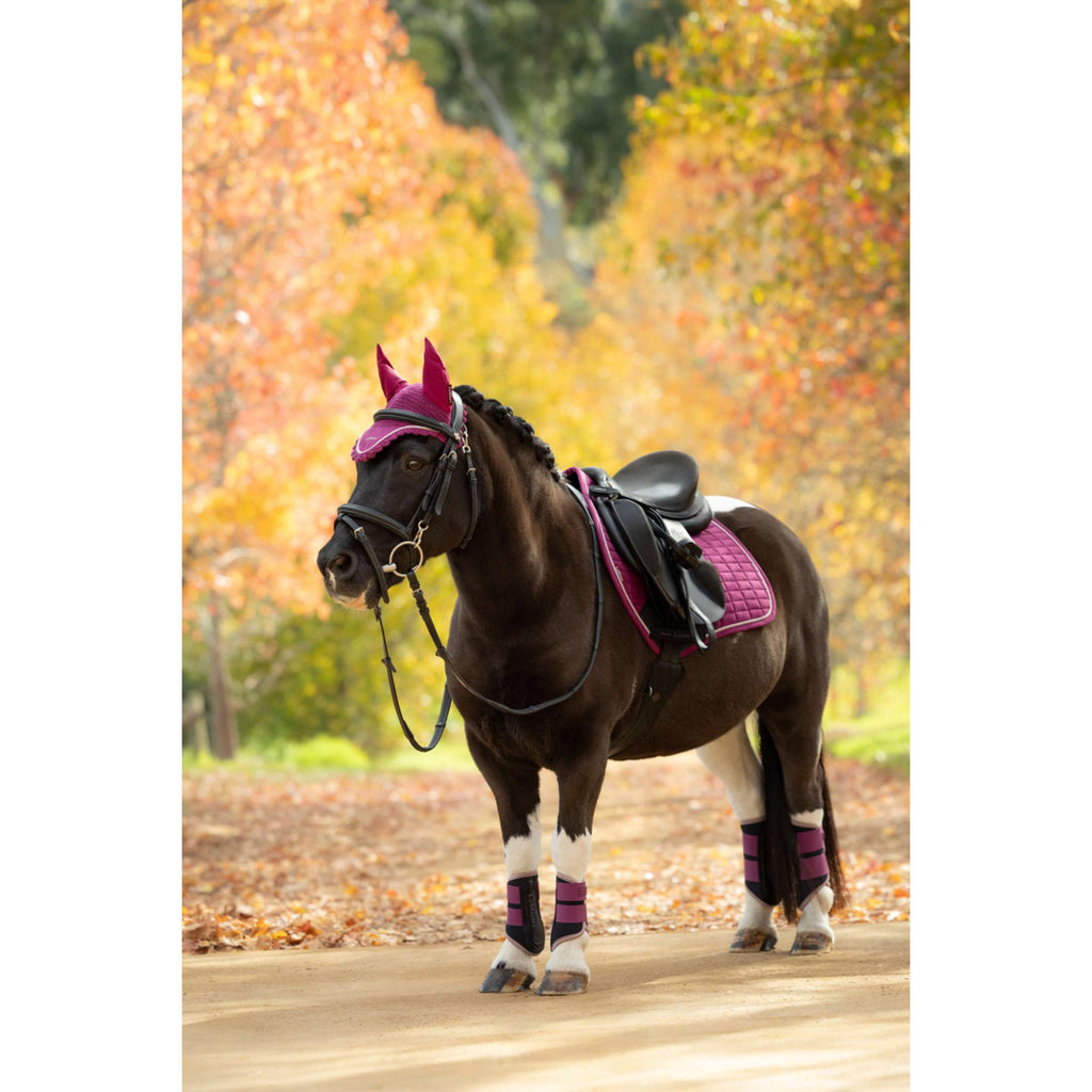 LeMieux Mantilla Suede Close Contact Square Saltando Blackberry