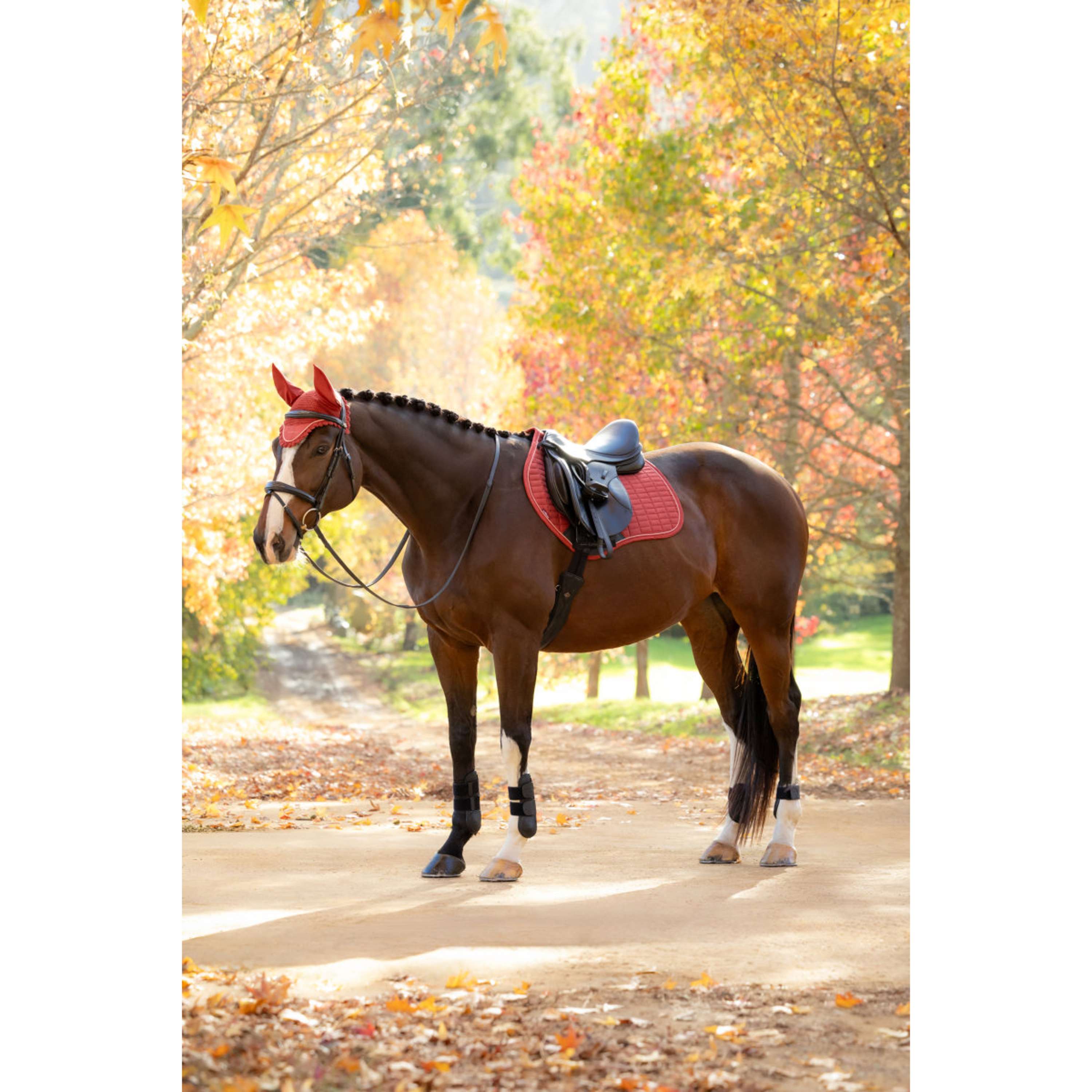 LeMieux Mantilla Suede Close Contact Square Saltando Russet