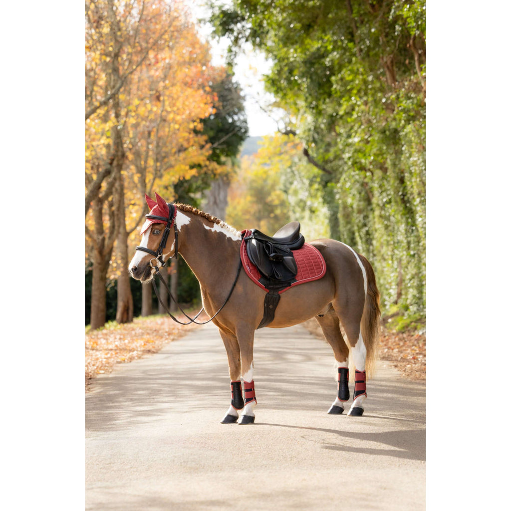 LeMieux Mantilla Suede Close Contact Square Saltando Russet