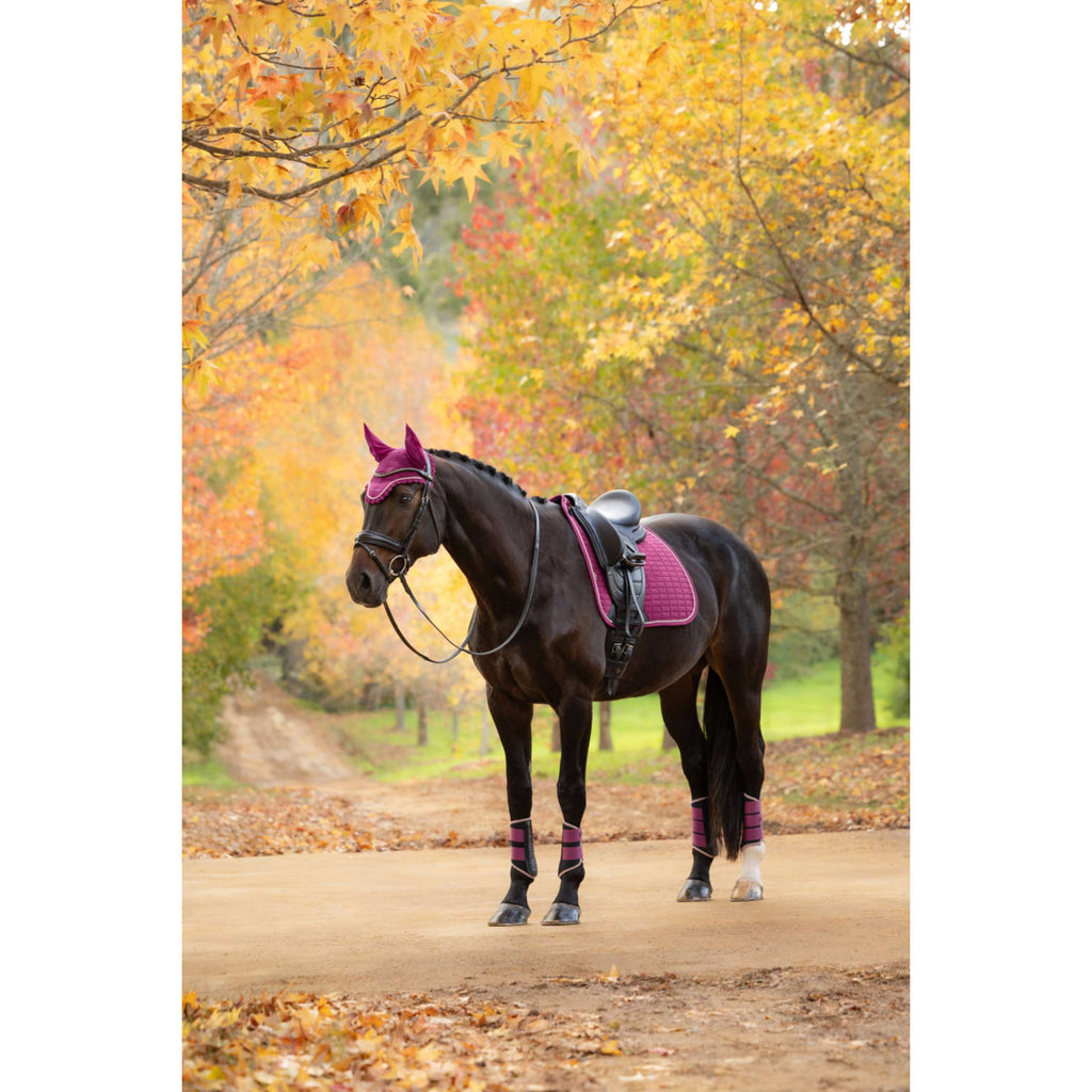 LeMieux Mantilla Suede Square Doma Clásica Blackberry