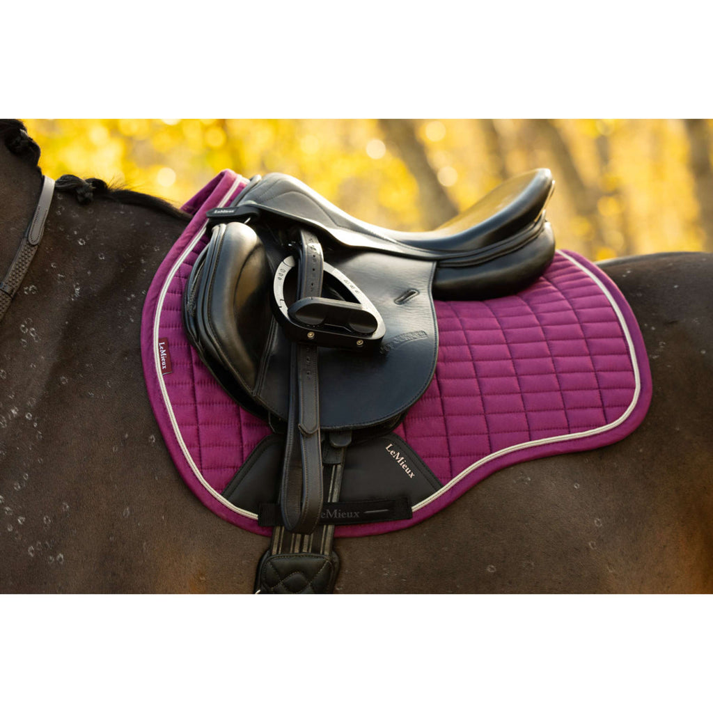 LeMieux Mantilla Suede Square Versatilidad Blackberry
