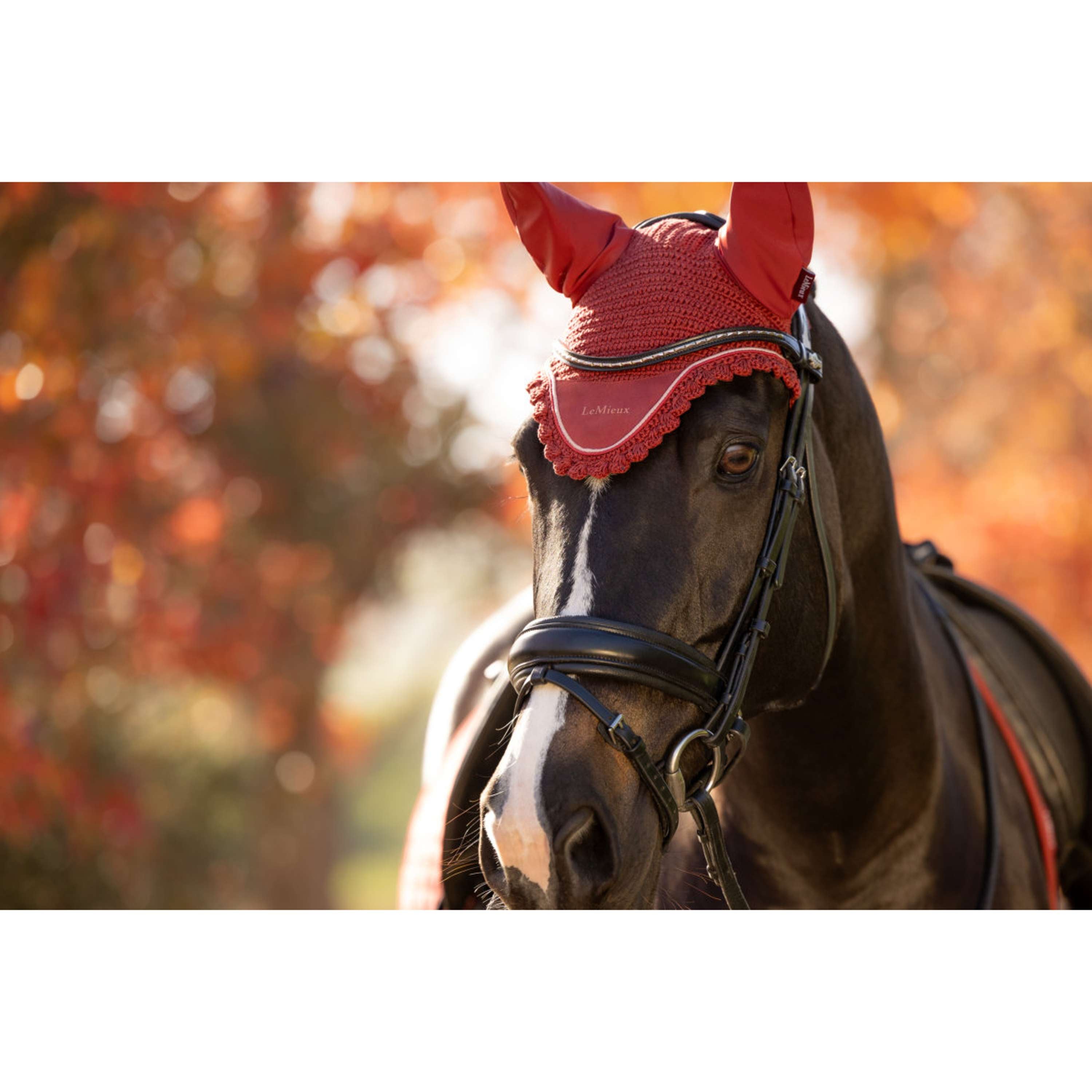 LeMieux Bonete para Orejas Classique Russet