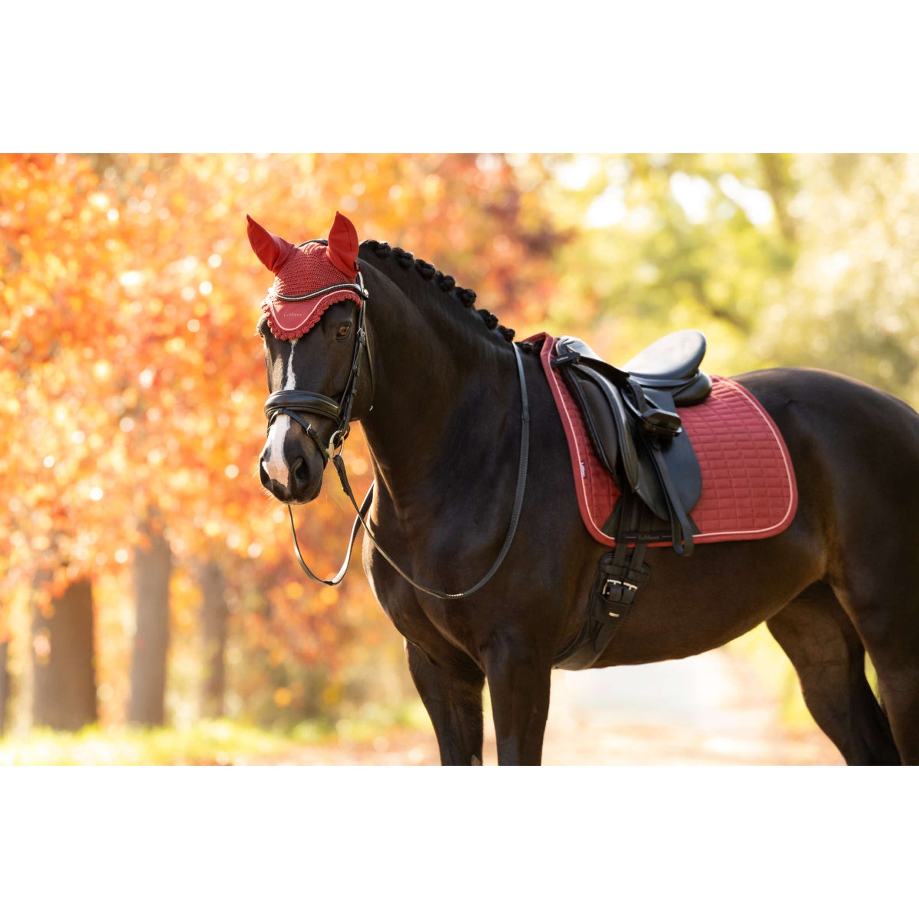 LeMieux Bonete para Orejas Classique Russet