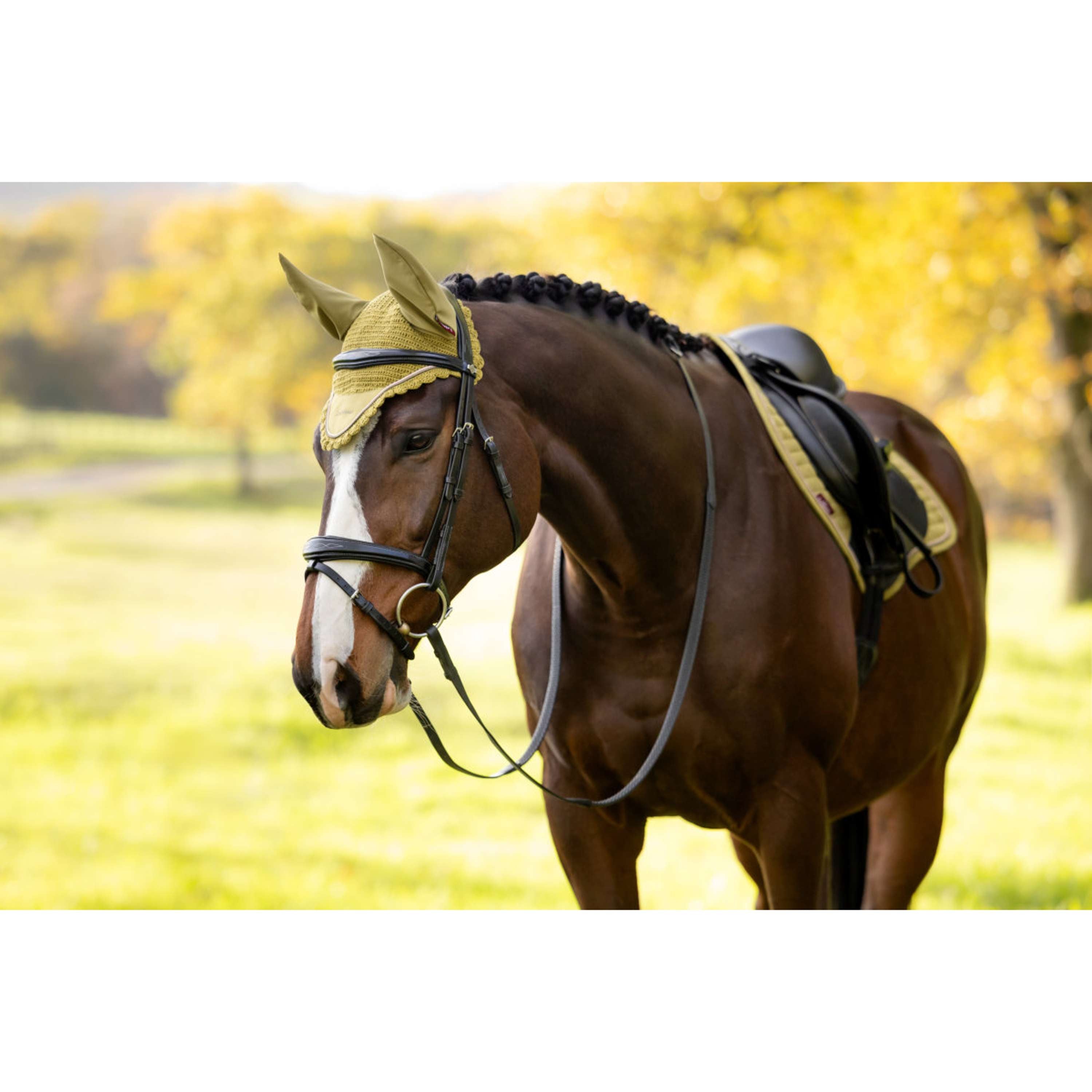 LeMieux Bonete para Orejas Classique Gooseberry