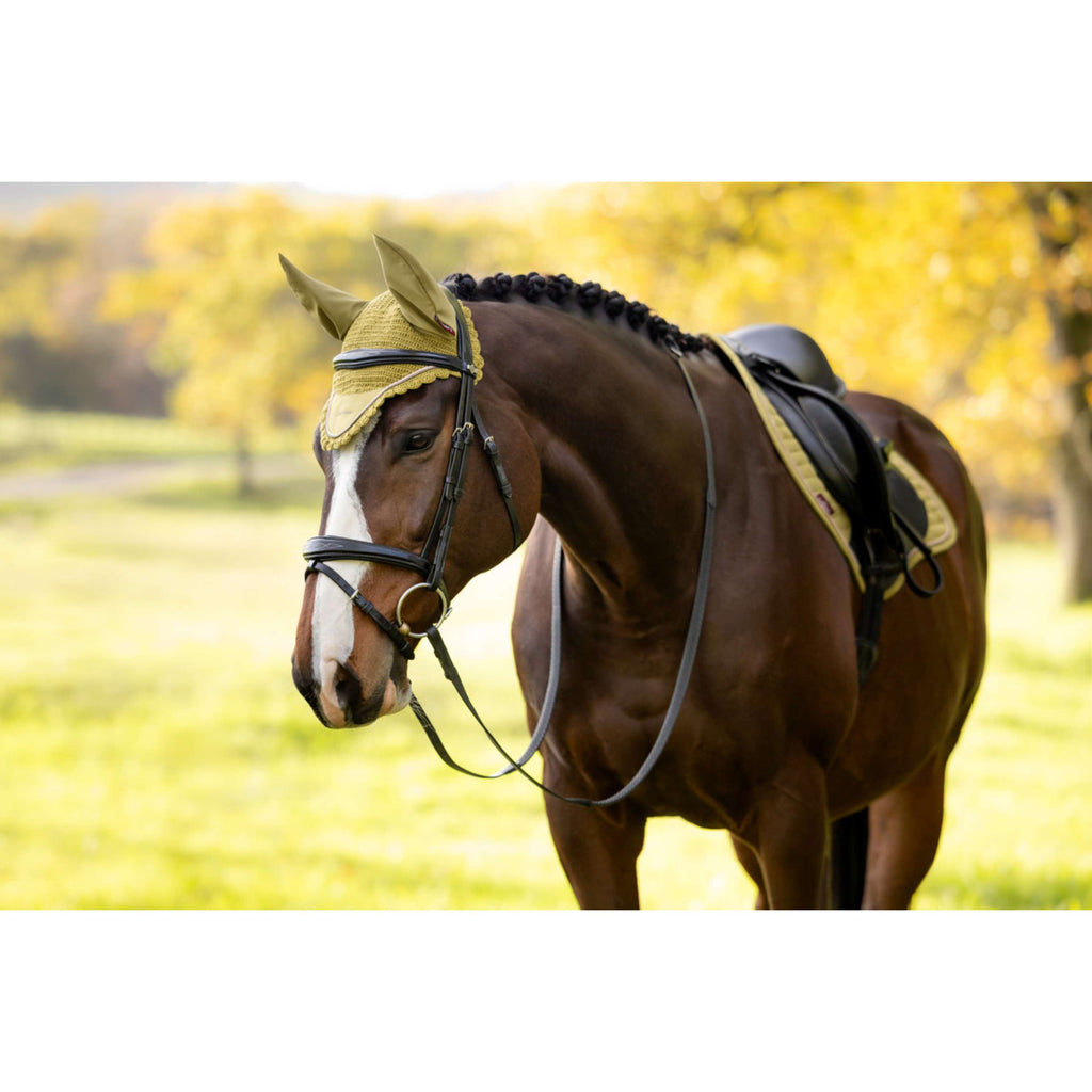 LeMieux Bonete para Orejas Classique Gooseberry
