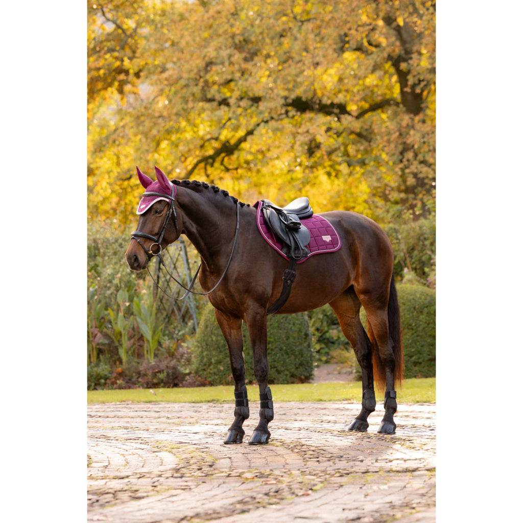 LeMieux Mantilla Loire Classic Close Contact Square Saltando Blackberry