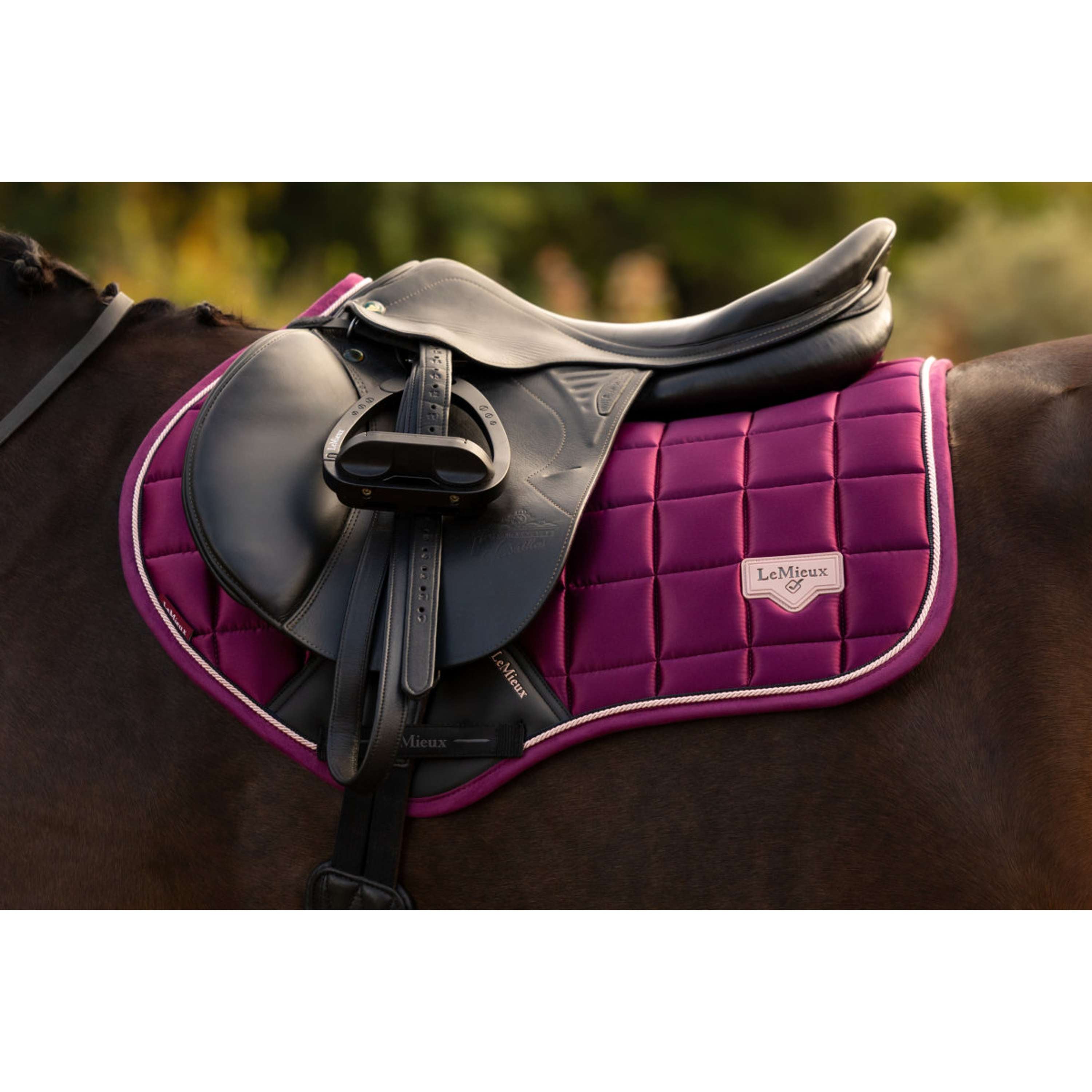 LeMieux Mantilla Loire Classic Close Contact Square Saltando Blackberry