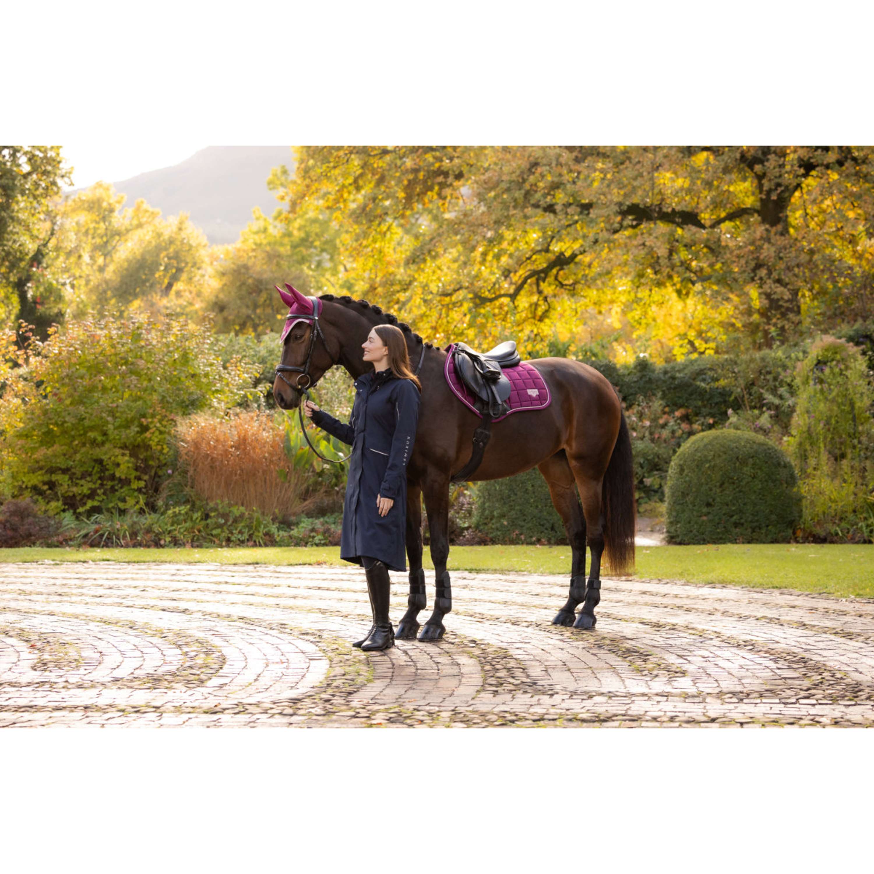 LeMieux Mantilla Loire Classic Close Contact Square Saltando Blackberry