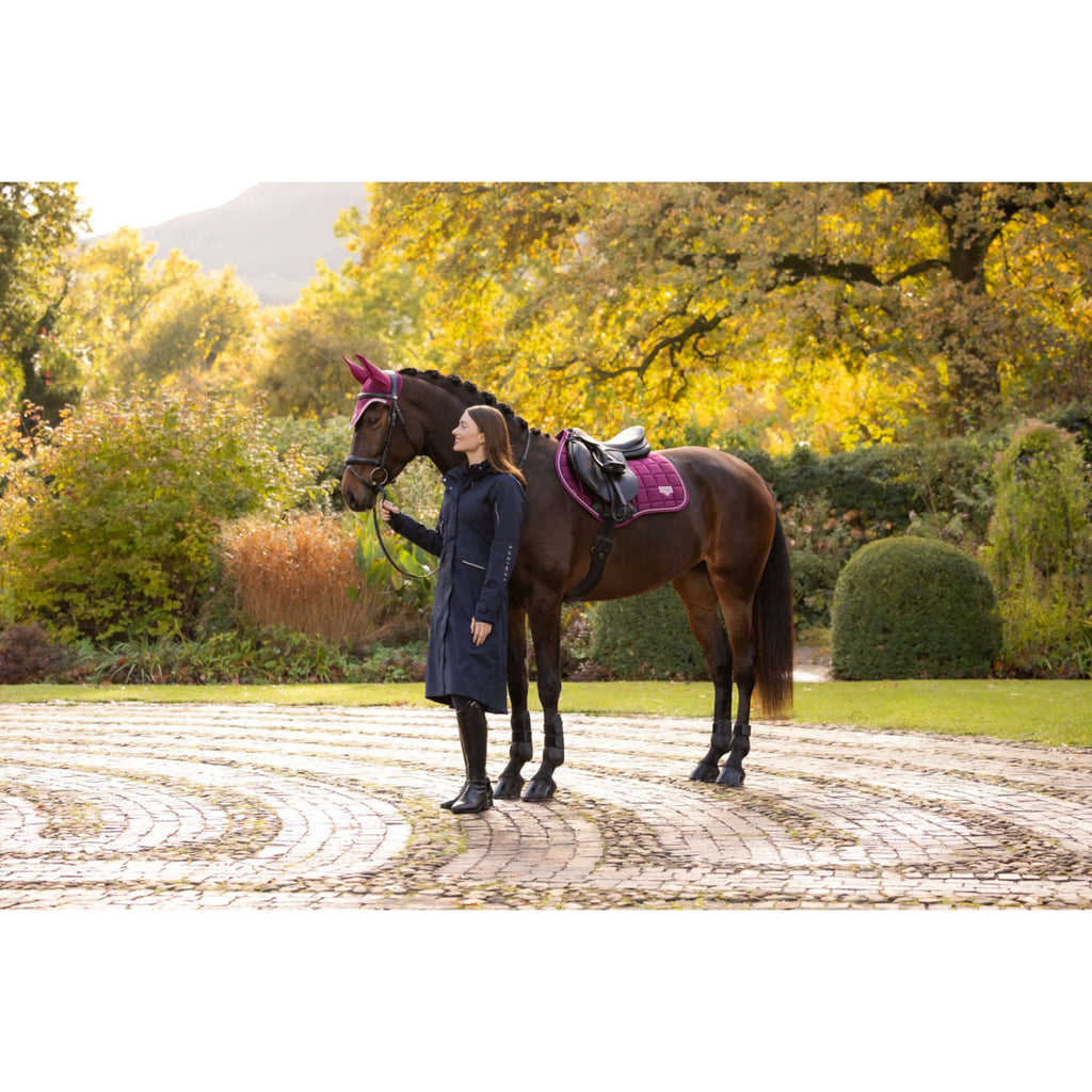 LeMieux Mantilla Loire Classic Close Contact Square Saltando Blackberry