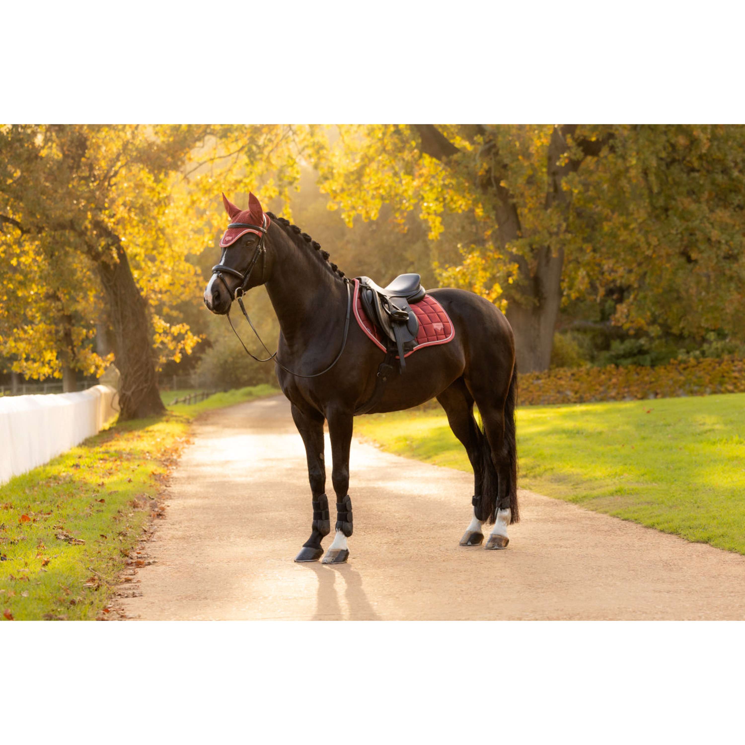 LeMieux Mantilla Loire Classic Close Contact Square Saltando Russet