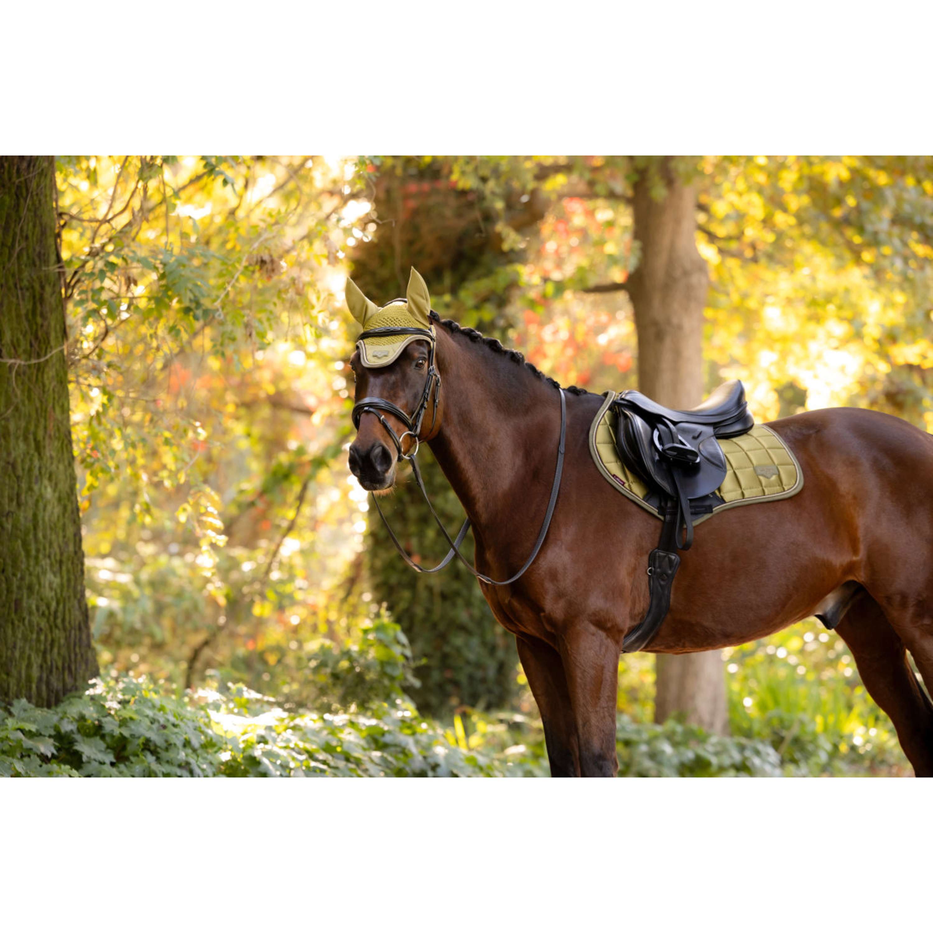 LeMieux Mantilla Loire Classic Close Contact Square Saltando Gooseberry