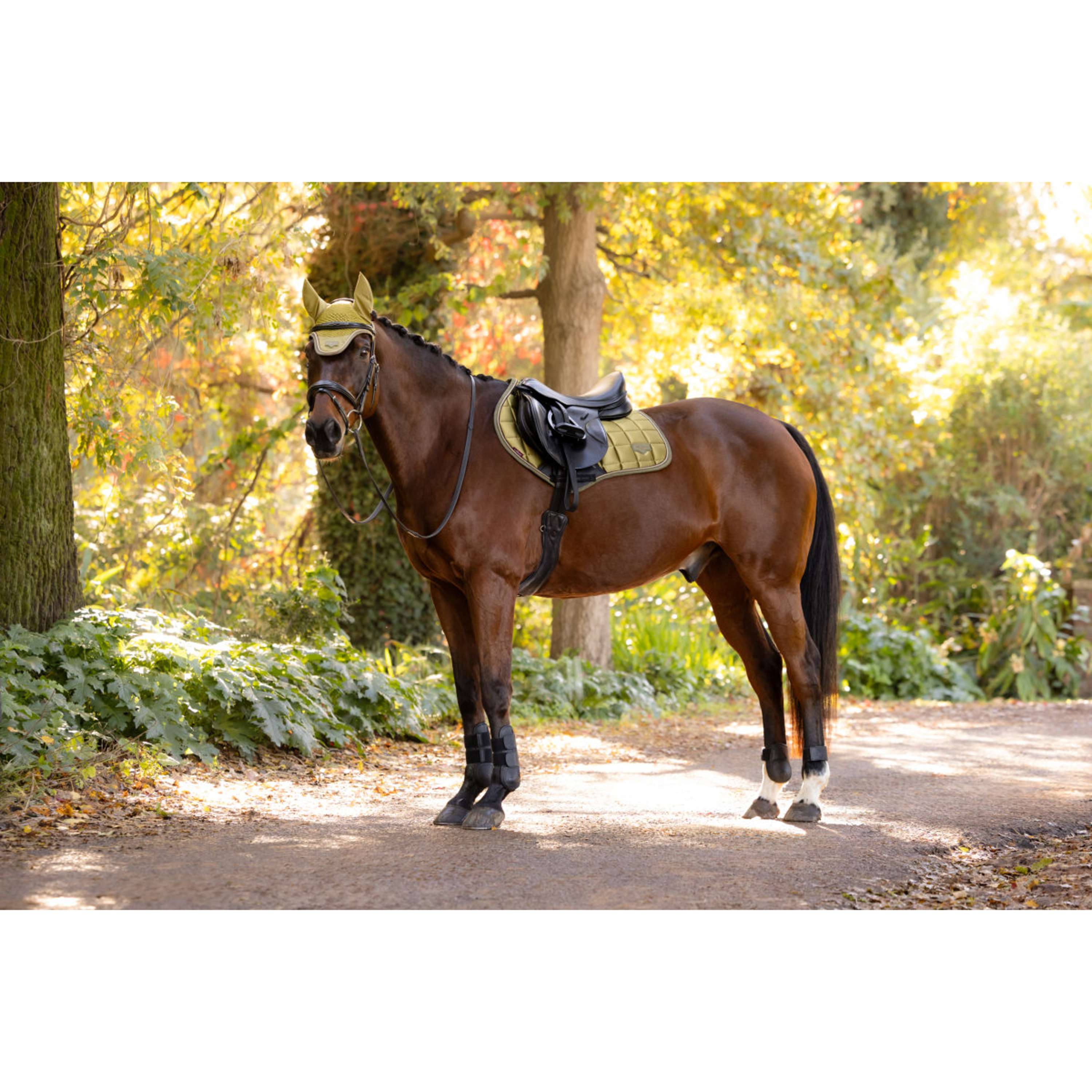 LeMieux Mantilla Loire Classic Close Contact Square Saltando Gooseberry