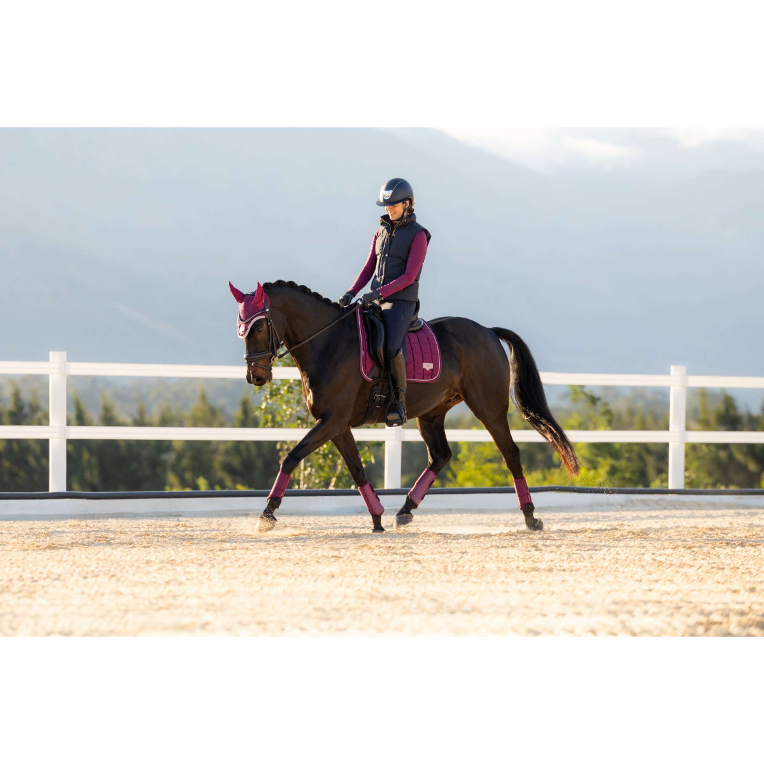 LeMieux Mantilla Loire Classic Square Doma Clásica Blackberry
