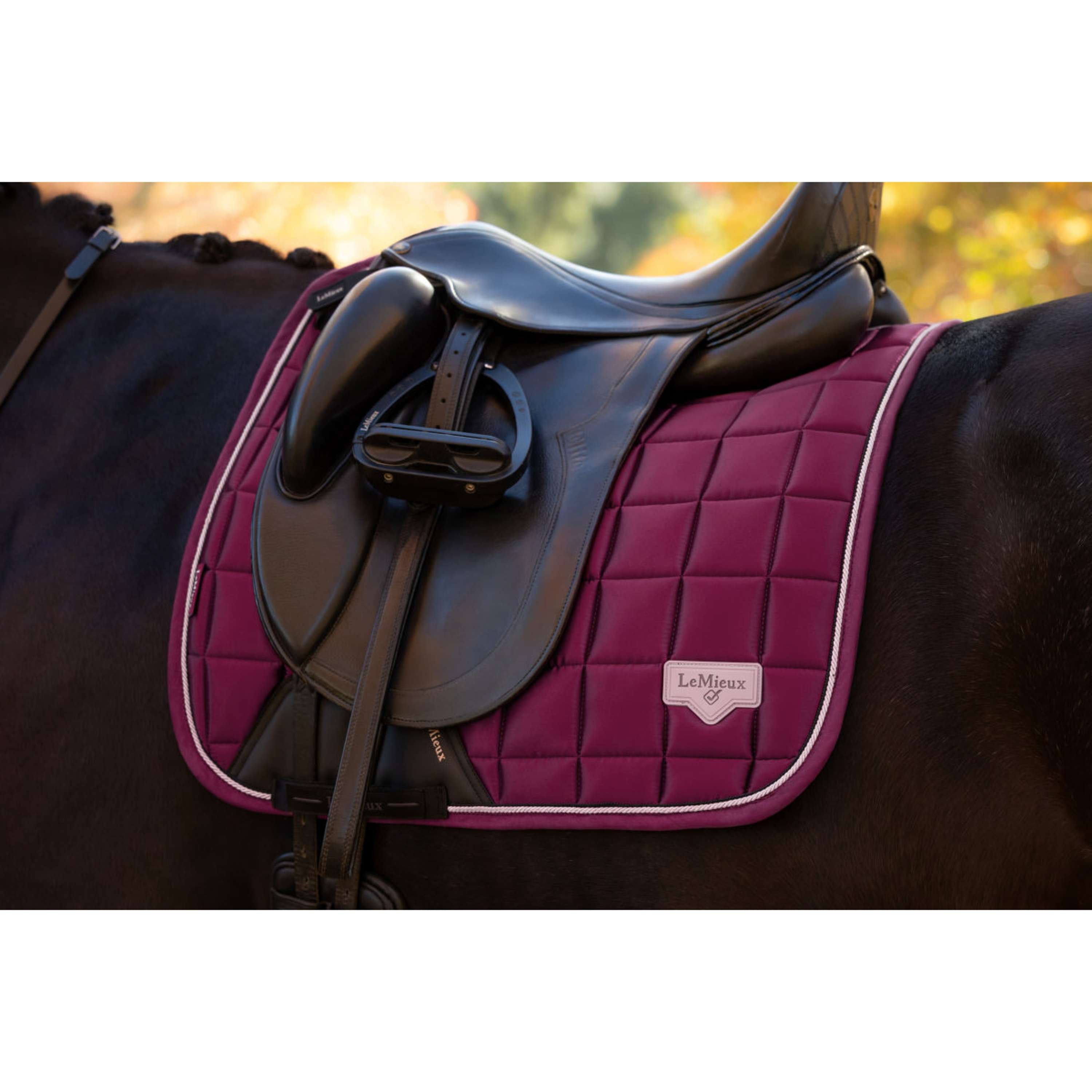 LeMieux Mantilla Loire Classic Square Doma Clásica Blackberry