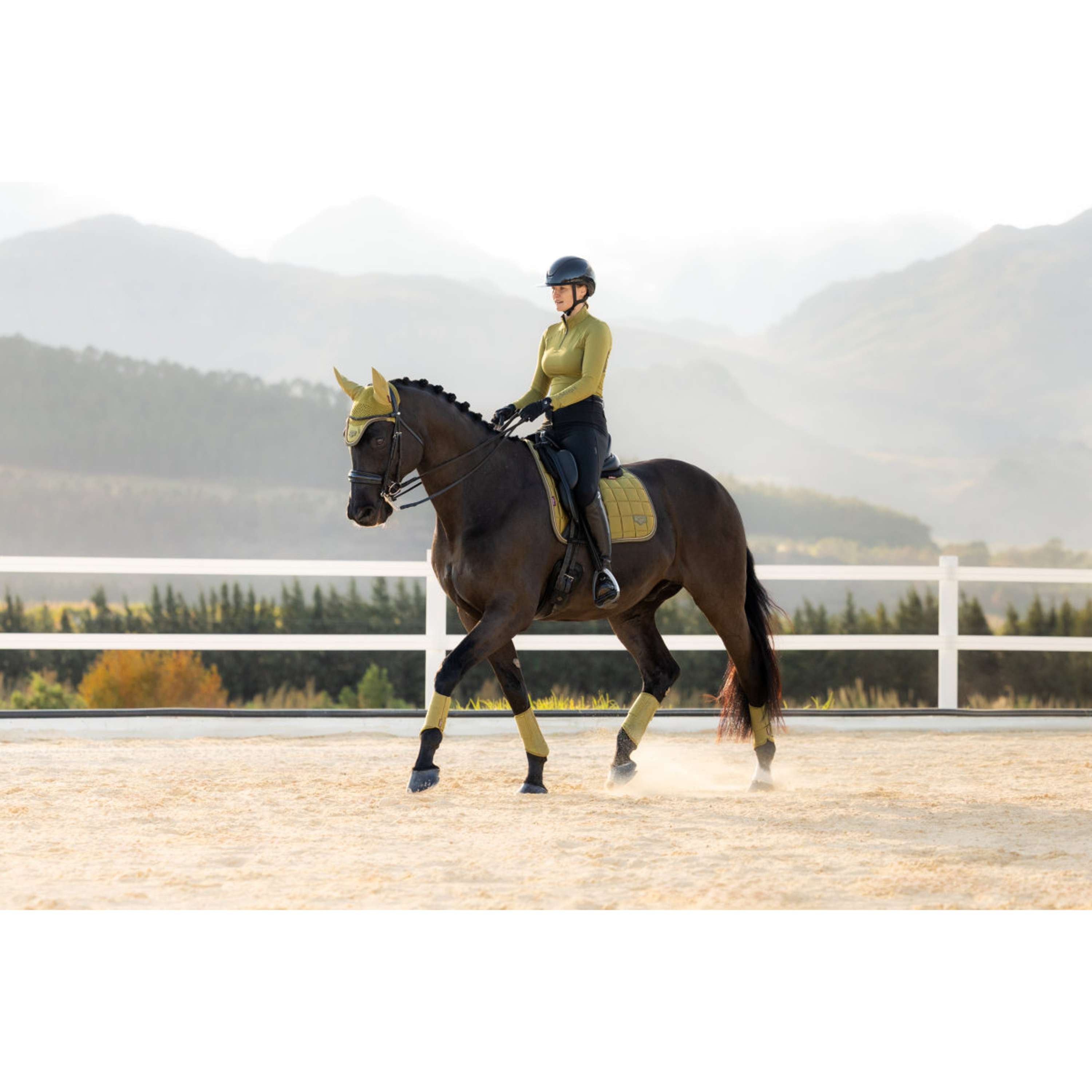 LeMieux Mantilla Loire Classic Square Doma Clásica Gooseberry