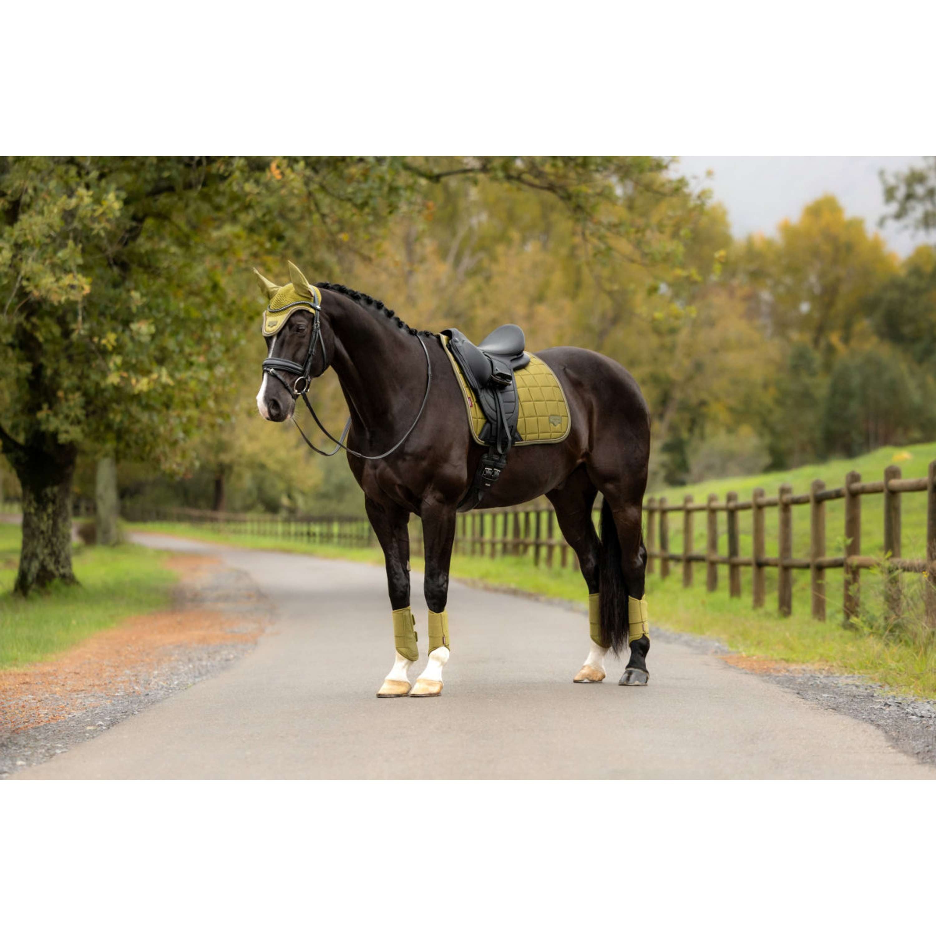 LeMieux Mantilla Loire Classic Square Doma Clásica Gooseberry