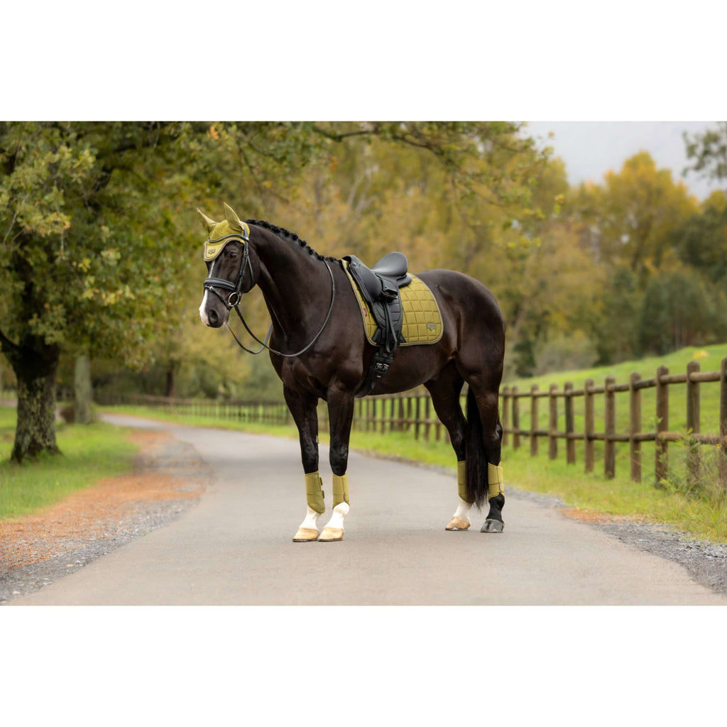 LeMieux Mantilla Loire Classic Square Doma Clásica Gooseberry