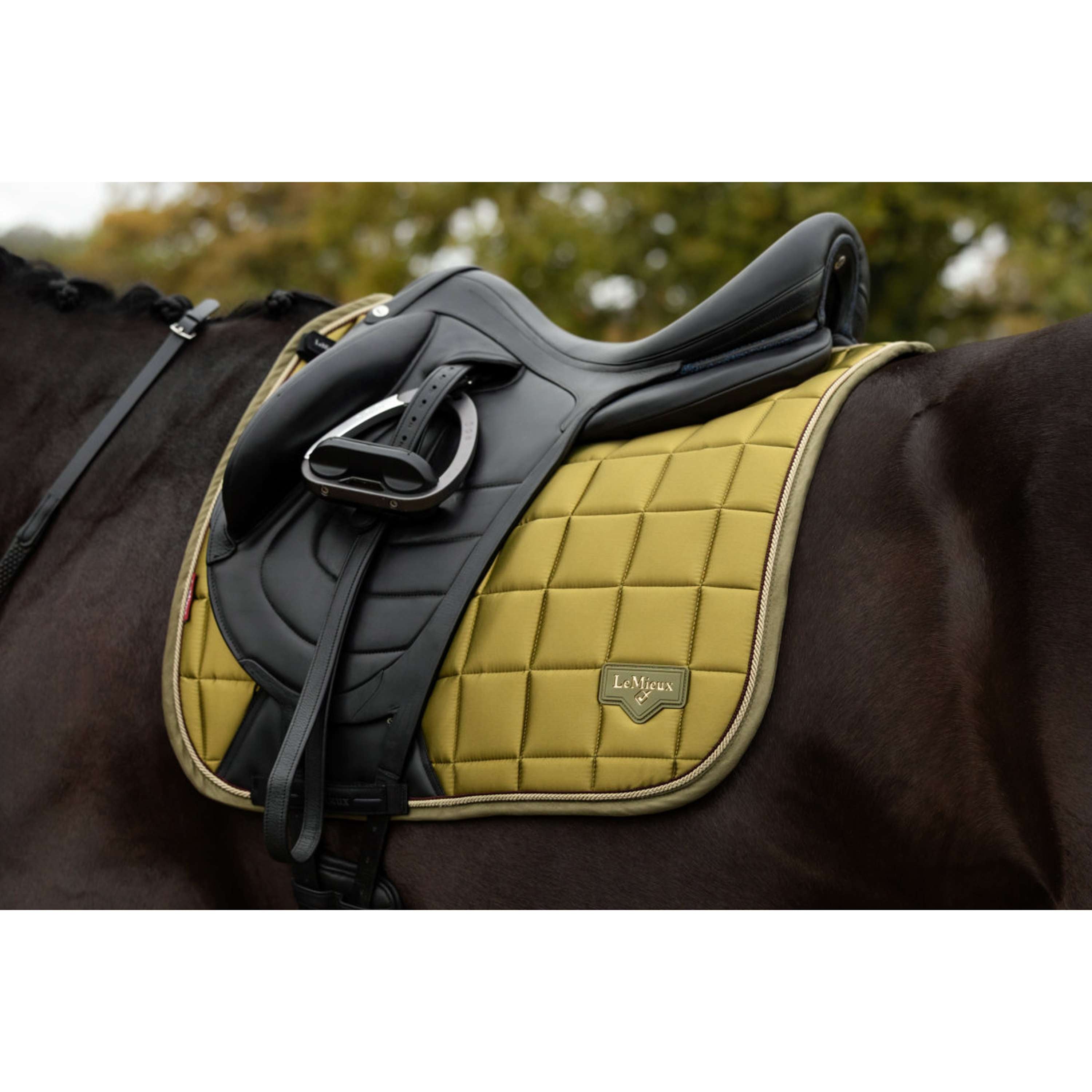 LeMieux Mantilla Loire Classic Square Doma Clásica Gooseberry