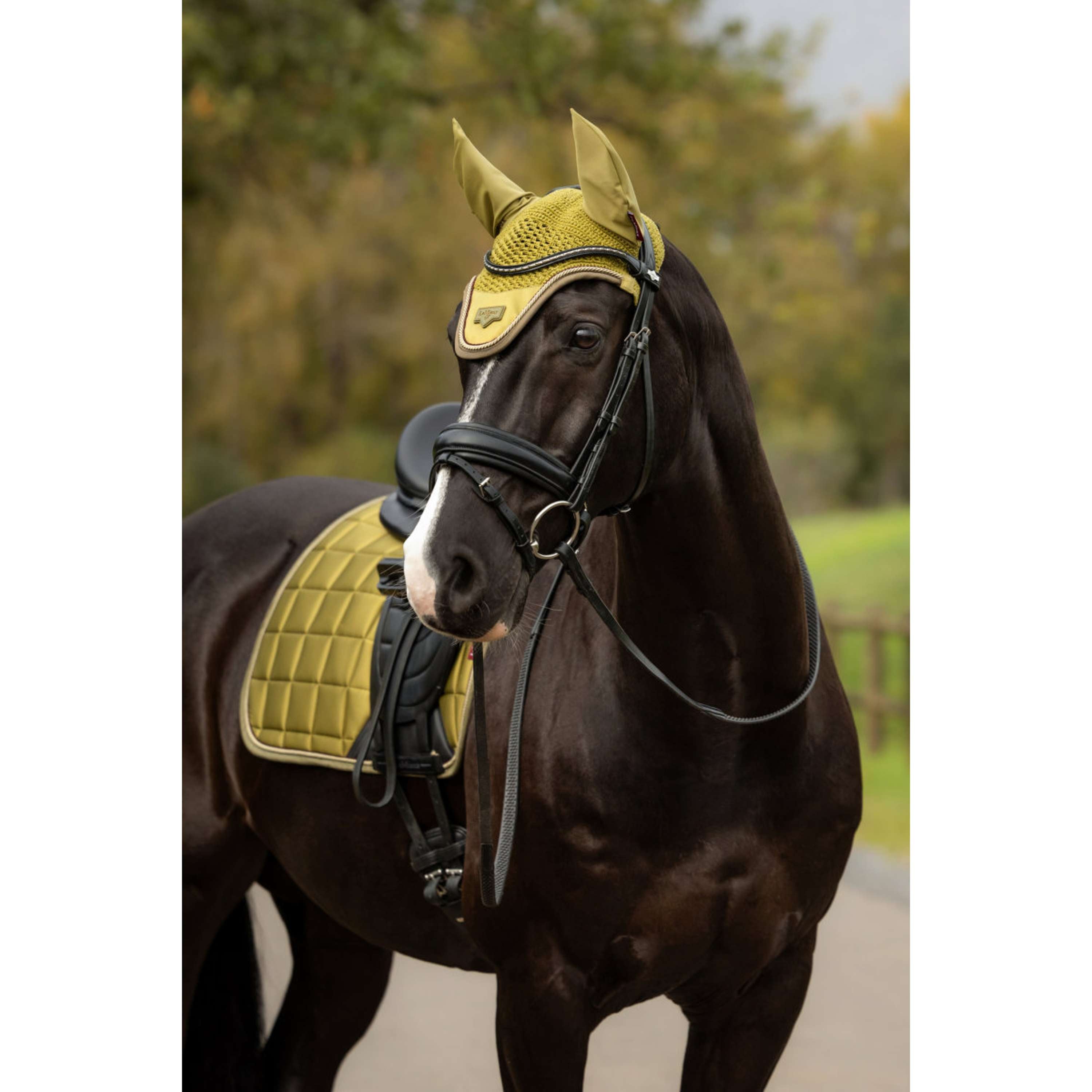 LeMieux Bonete para Orejas Loire Gooseberry