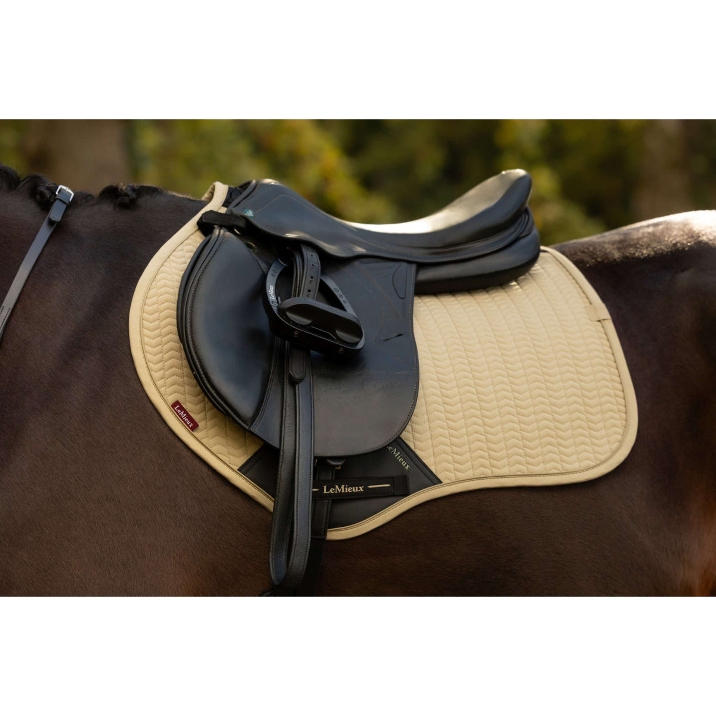 LeMieux Mantilla Essence Close Contact Square Saltando Pear