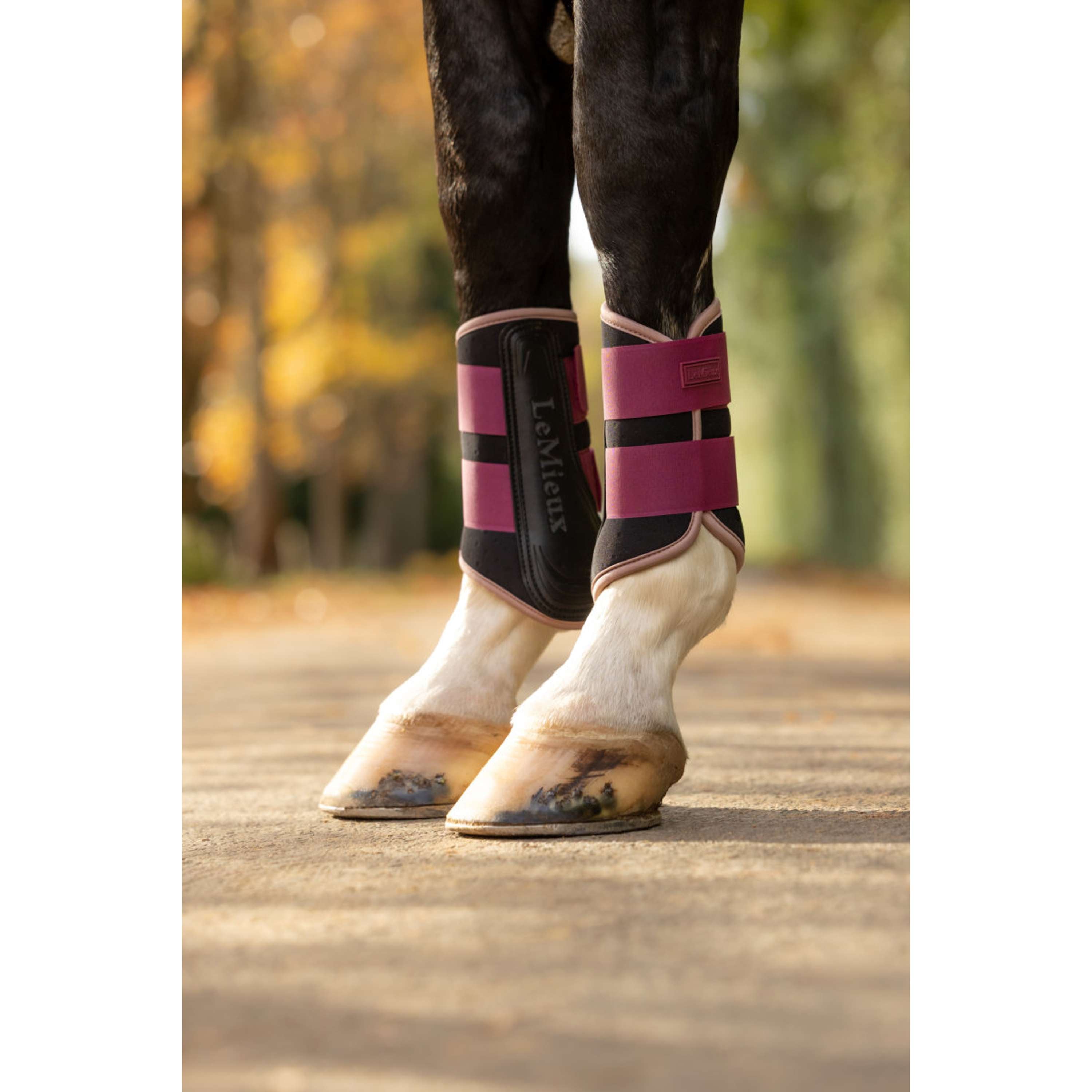 LeMieux Protectores de piernas Air-Tek Grafter Blackberry