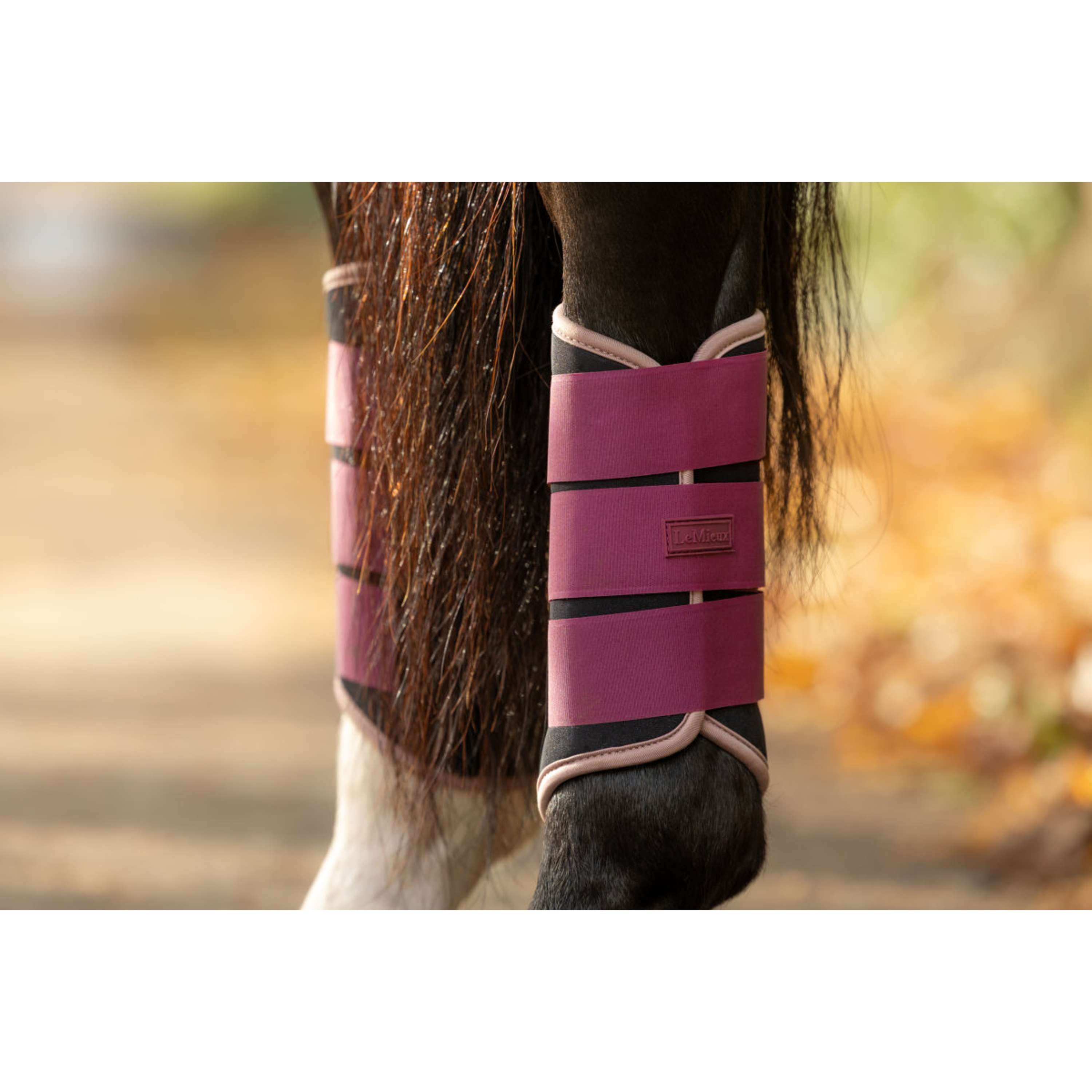 LeMieux Protectores de piernas Air-Tek Grafter Blackberry