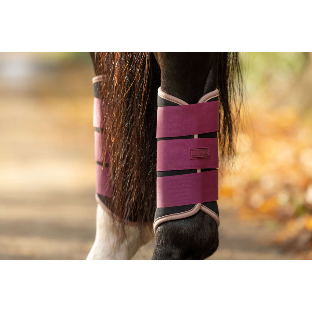 LeMieux Protectores de piernas Air-Tek Grafter Blackberry