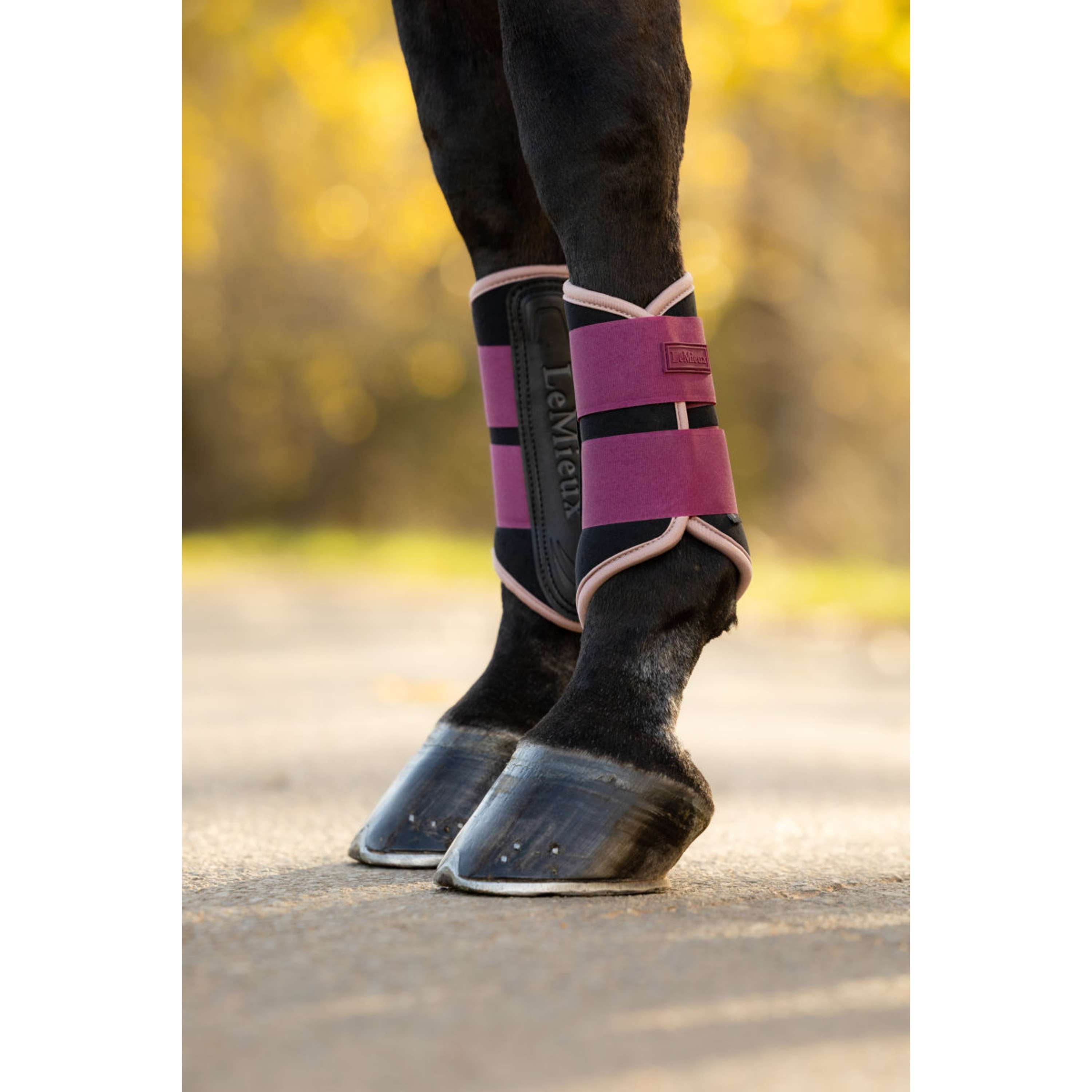 LeMieux Protectores de piernas Air-Tek Grafter Blackberry